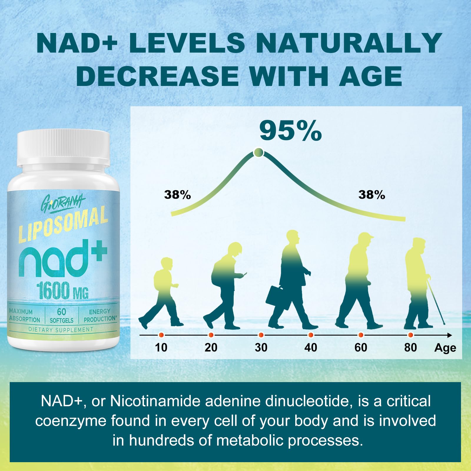 GIORANA 1600 MG Liposomal NAD+ Supplement, NAD+ Boosting Supplement, Superior Absorption, Vitamin B3 for Aging Defense, Longevity, Energy, Repair, Non-GMO, 60 Softgels GIORANAAu supplements