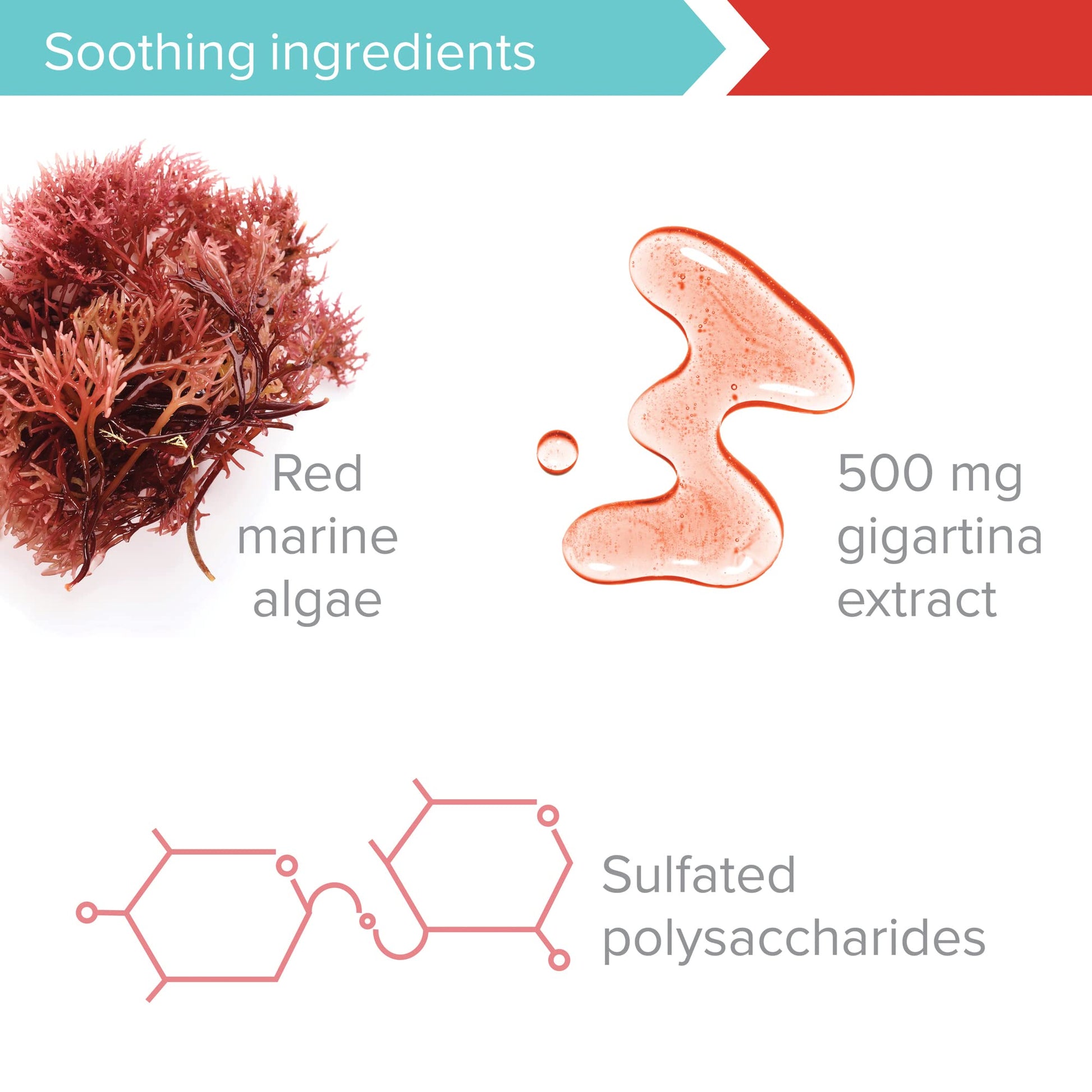 Vibrant Health, Gigartina Red Marine Algae, Plant-Based Immune Support, 60 Capsules Vibrant HealthAu supplements