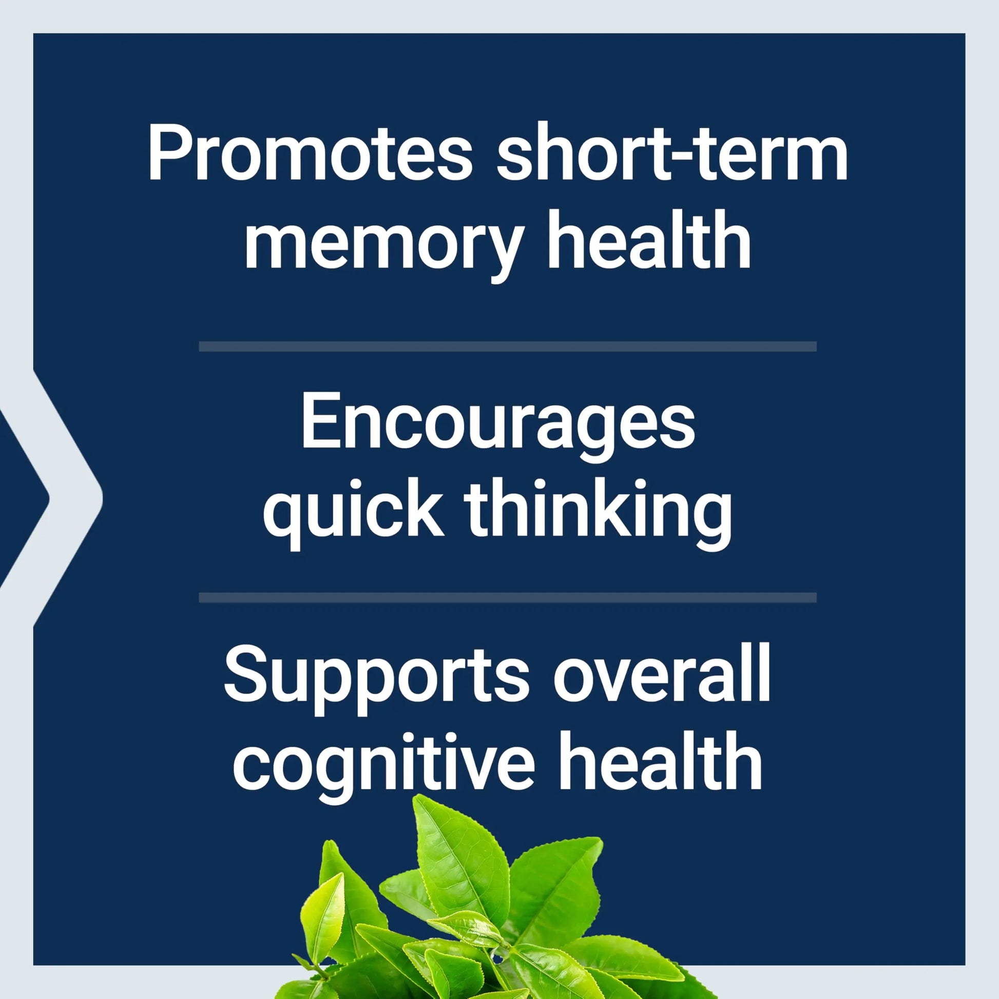Life Extension Neuro-Mag Magnesium L-Threonate, Memory Health, Quick Thinking, Cognitive Health Support, Vegetarian, Non-GMO, 90 Vegetarian Capsules (144 mg from 2000 mg Magtein magnesium L-threonate Life Extensionnz supplements