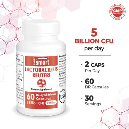 Supersmart - Lactobacillus Reuteri 5 Billion CFU per Day (Probiotic Supplement) SupersmartUS supplements
