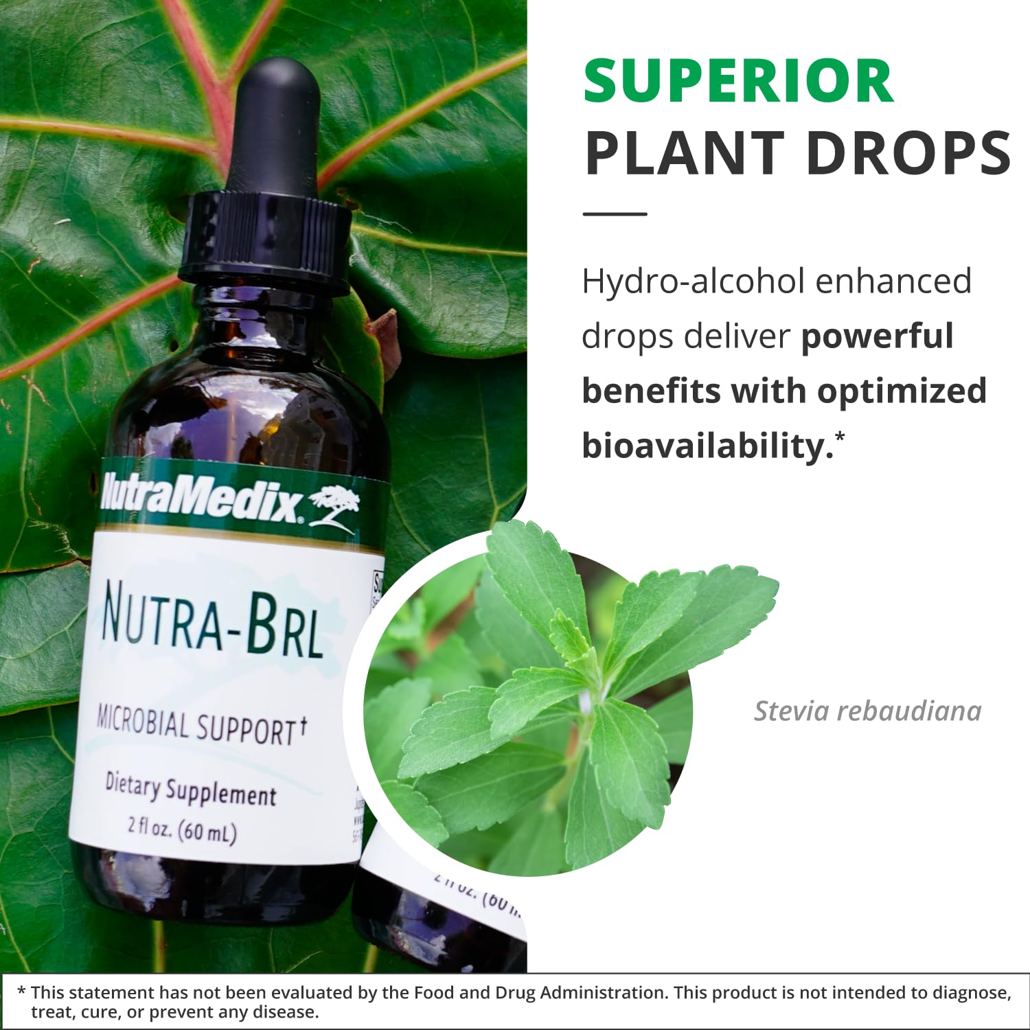 Nutramedix Nutra BRL - Liquid Herbal Supplement for Gut Health & Immune Support - Samento & Banderol for Digestive Health - Immune System Booster Supplement (60mL) NutraMedixAu supplements