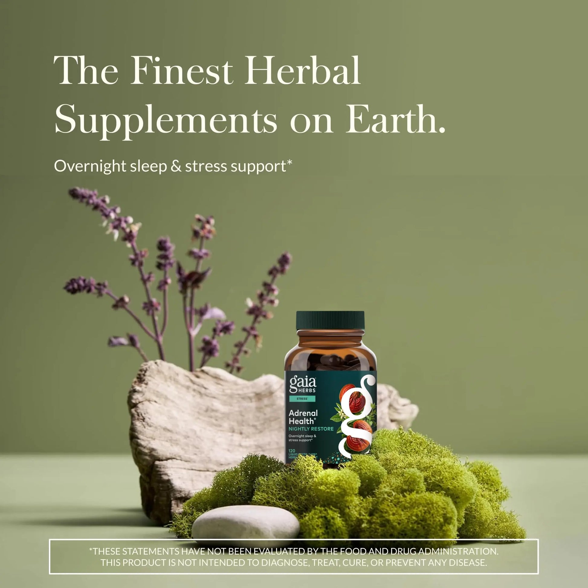 Gaia Herbs Adrenal Health Daily Support, Help Maintain Healthy Energy & Stress Levels*,120 Liquid Phyto-Caps Adrenal Health Nightly Restore, 120 Liquid Phyto-Caps - Bundle Gaia Herbsnz supplements
