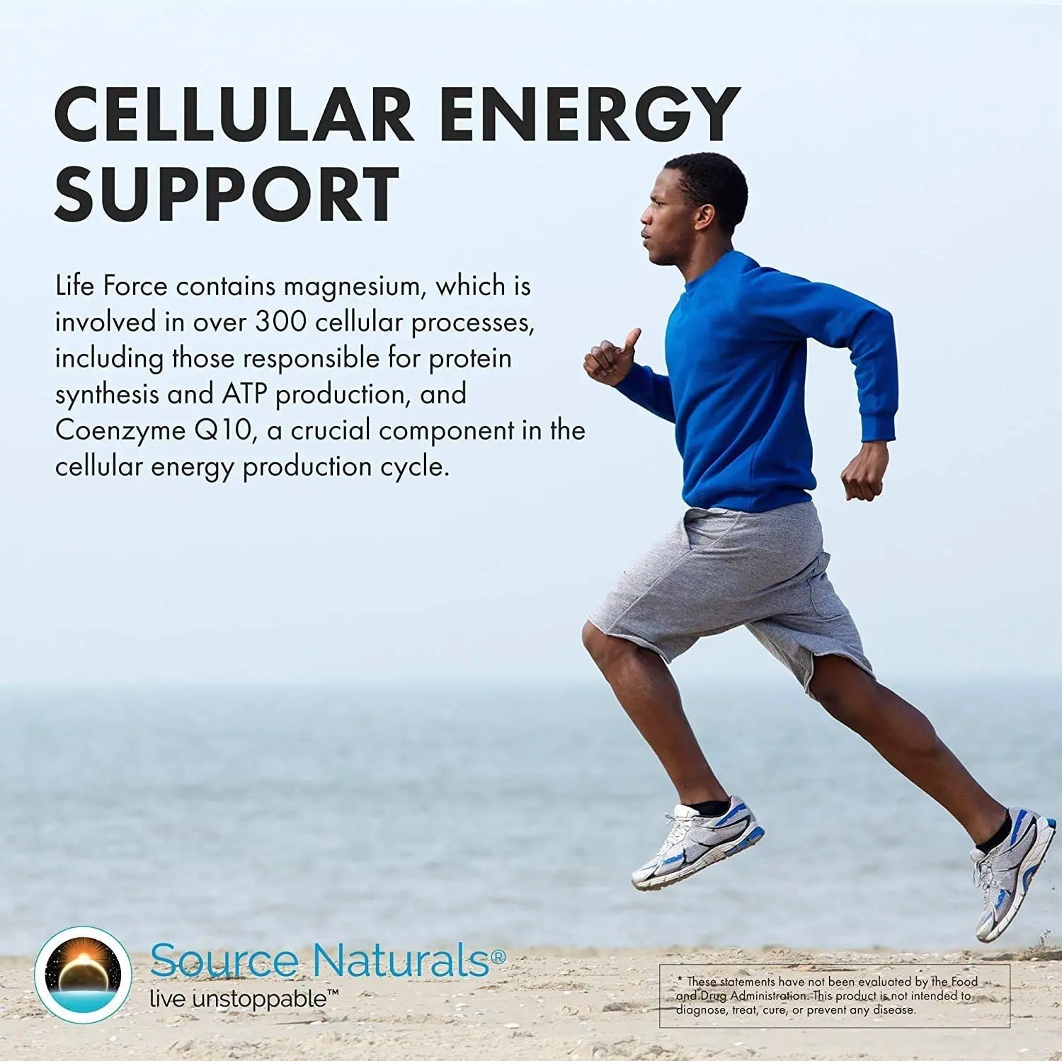 Source Naturals Men's Life Force Multiple Daily Multivitamin & Immune Health Supplement - 13 Essential Vitamins, Nutrients & Minerals - 180 Tablets Source NaturalsAu supplements
