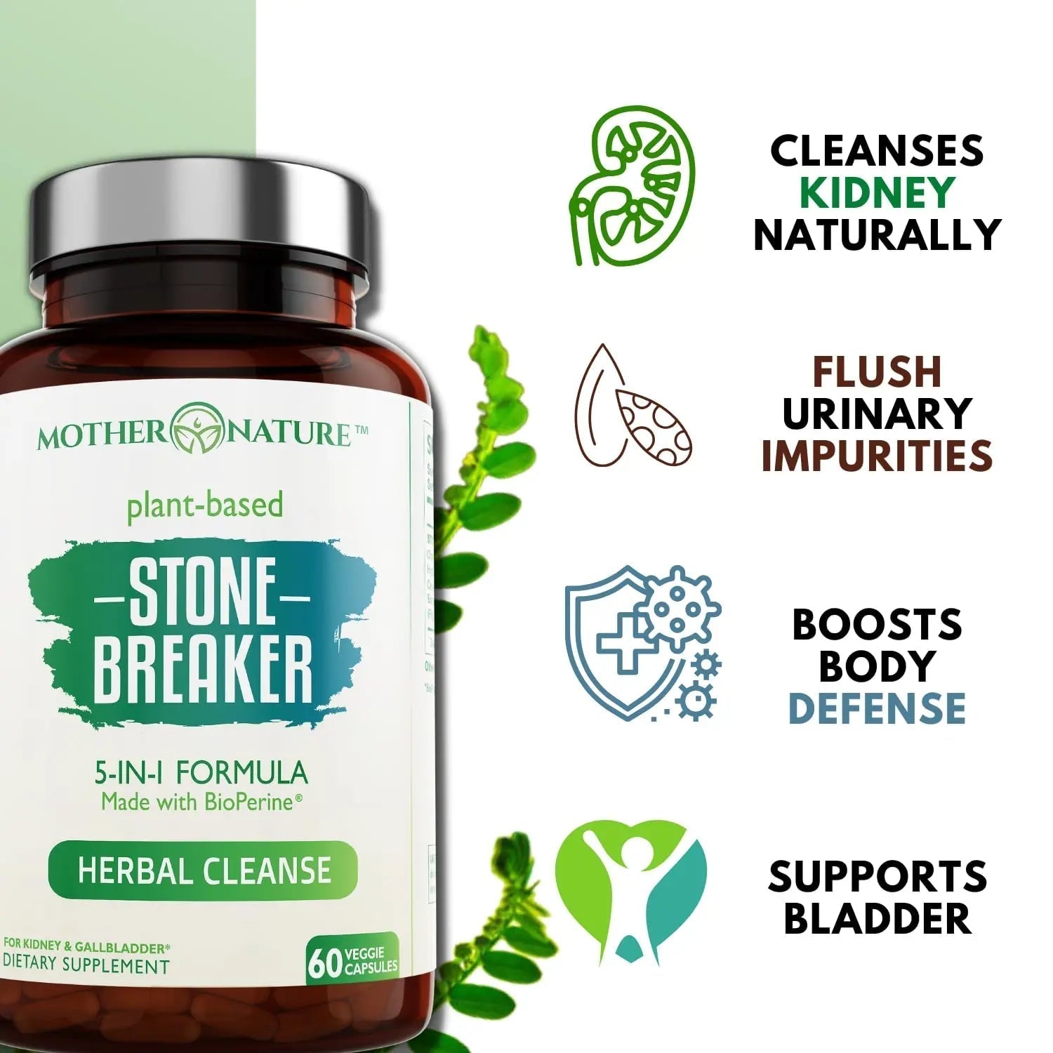 Stone Breaker Chanca Piedra Capsules, Dissolve Kidney & Gallbladder, Detoxify Urinary Tract, Flush Impurities, Kidney Support with Celery Seed Extract - 60 Veg Capsules Mother Nature Organics Superfoods for Organic LivingAu supplements