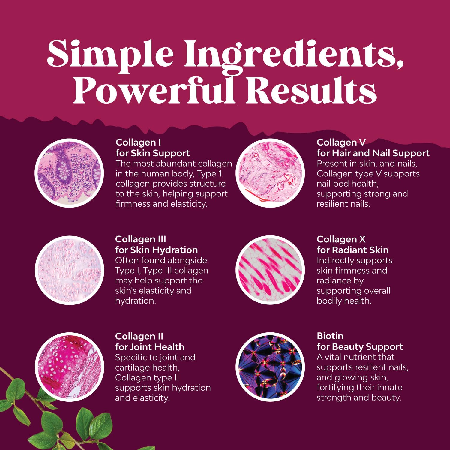 Advanced Multi Collagen Complex - Ageless Multi Collagen Peptides Supplements with Type 1 2 3 5 & X & Biotin for Hair, Skin and Nails Vitamins - Biotin Supplements for Women & Men - 90 Count Natures CraftAu supplements