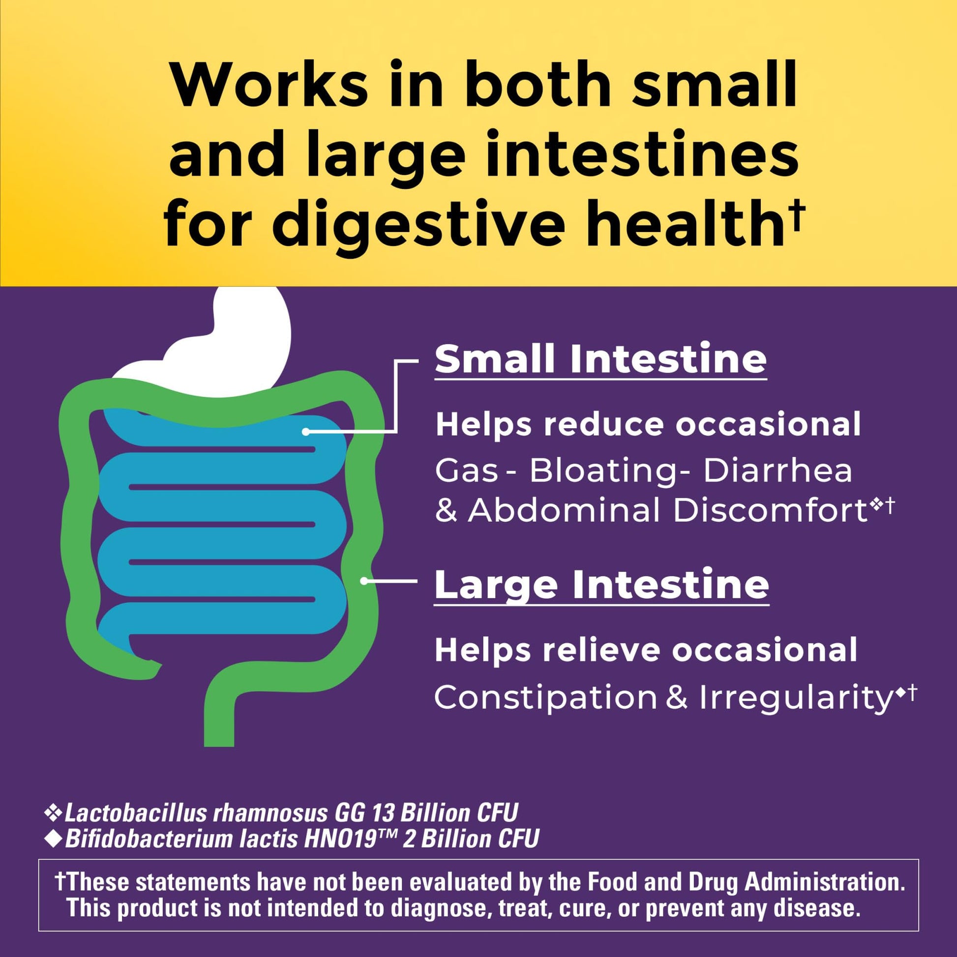 Nature Made Probiotics for Digestive Health Extra Strength 15 Billion CFU from Live Cultures, Probiotics for Women and Men, 30 Probiotic Capsules, 30 Day Supply Nature MadeAu supplements
