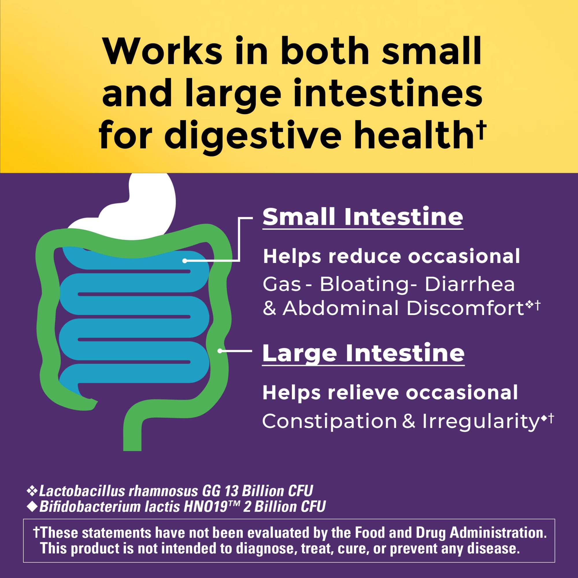 Nature Made Probiotics for Digestive Health Extra Strength 15 Billion CFU from Live Cultures, Probiotics for Women and Men, 30 Probiotic Capsules, 30 Day Supply Nature MadeAu supplements