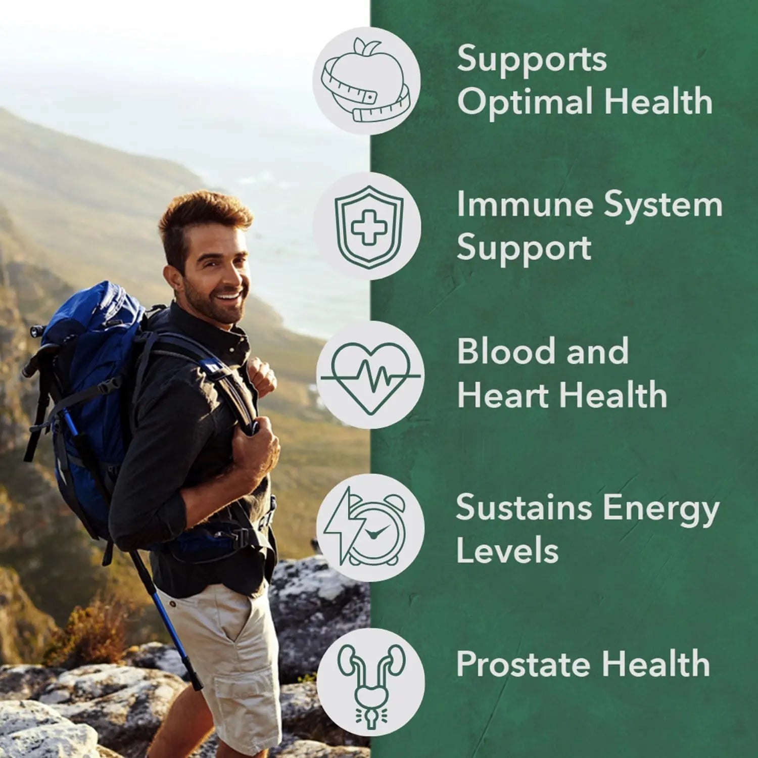 PlantFusion Organic Multivitamin for Men - One Daily Whole Food Blend Men's Multivitamin - Vegan, Non-GMO PlantFusionAu supplements