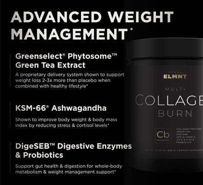 TERRA ELMNT Premium Chocolate Multi Collagen Powder for Women Weight Management TERRA ELMNTUS supplements