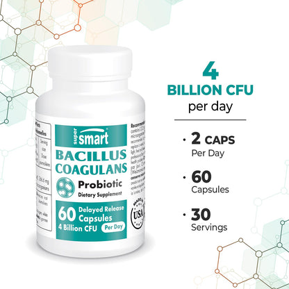 Supersmart - Bacillus Coagulans Probiotic 4 Billion CFU per Day (High Absorption) SupersmartUS supplements