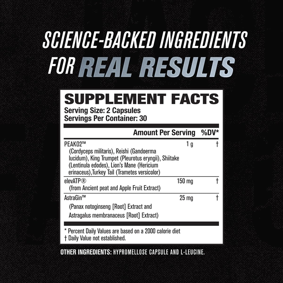 Jacked Factory Muscle Builder Supplement Stack - Build-XT Muscle Builder & N.O. XT Nitric Jacked FactoryAu supplements