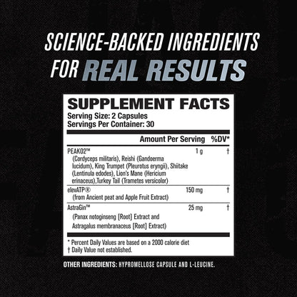 Jacked Factory Muscle Builder Supplement Stack - Build-XT Muscle Builder & N.O. XT Nitric Jacked FactoryUS supplements