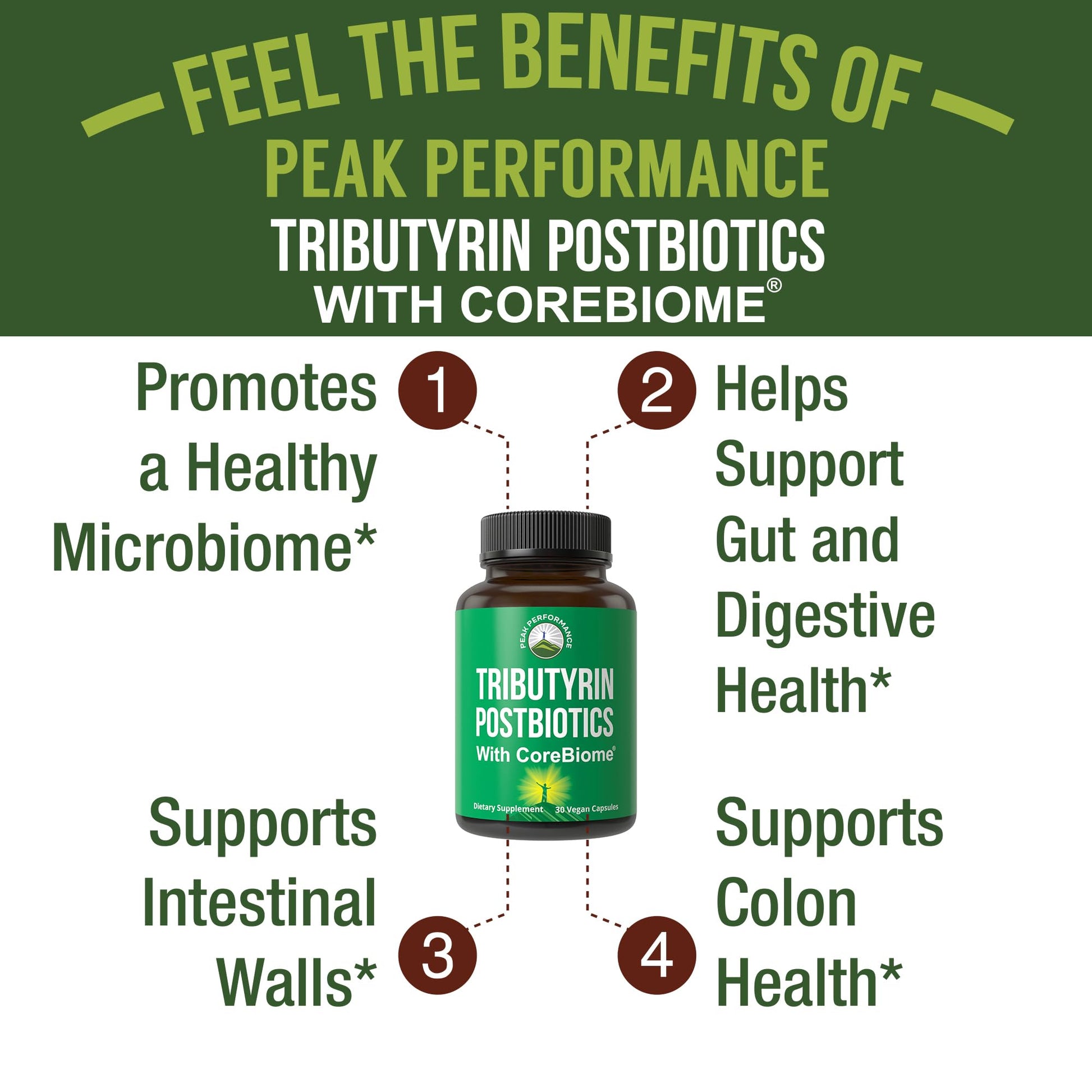 CoreBiome Tributyrin Postbiotic Supplement Clinically Tested for Gut Health. More Effective Than Sodium Butyrate Capsules. High Bioavailability Post Biotics for Digestive, Leaky Gut, Colon, Microbiome Peak PerformanceAu supplements