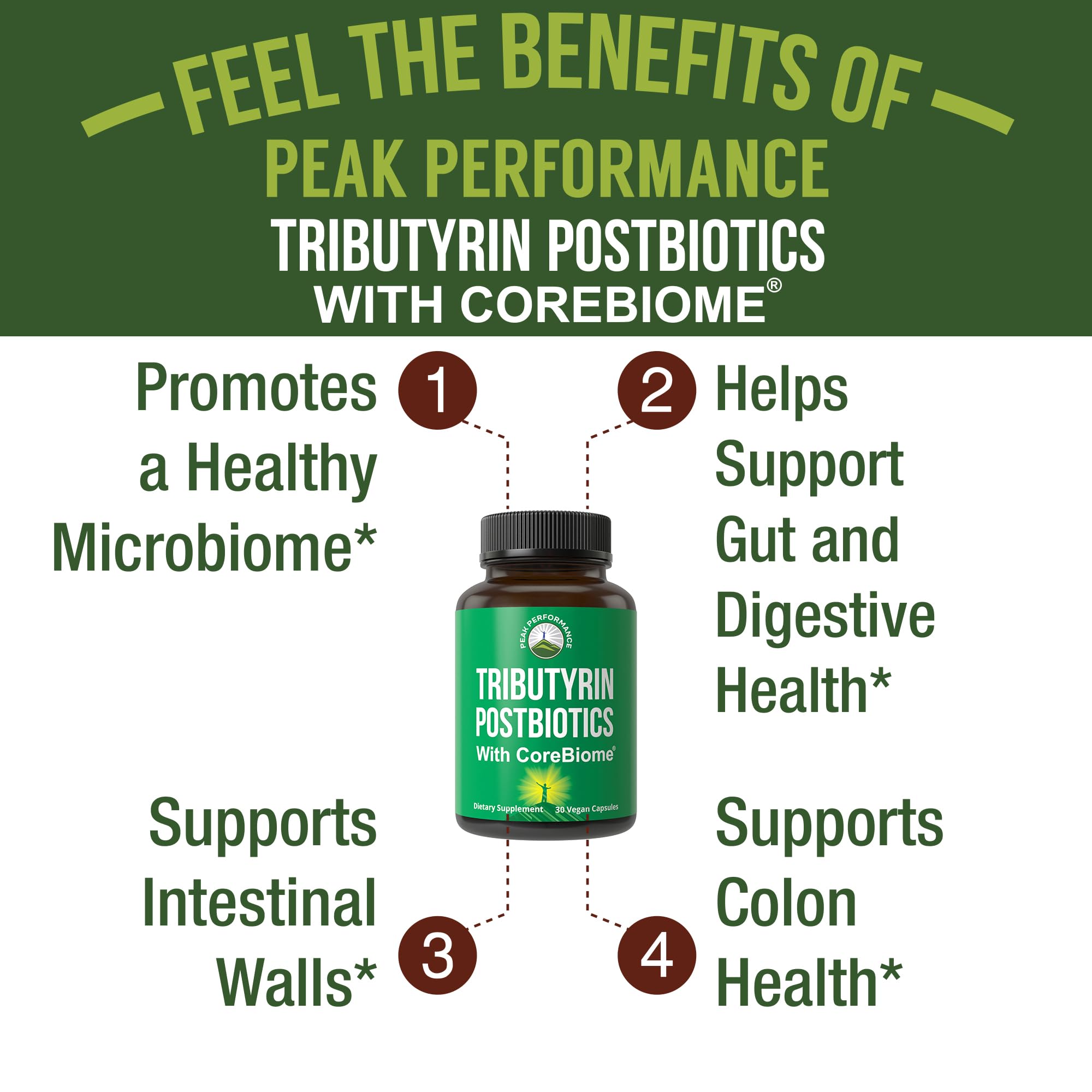CoreBiome Tributyrin Postbiotic Supplement Clinically Tested for Gut Health. More Effective Than Sodium Butyrate Capsules. High Bioavailability Post Biotics for Digestive, Leaky Gut, Colon, Microbiome Peak PerformanceAu supplements