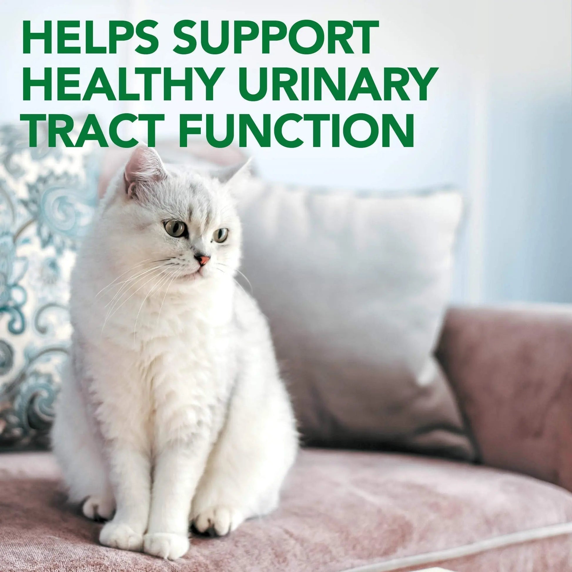 Vet's Best Cat Urinary Supplement, Urinary Tract Support Chewable for Cats, Supports A Healthy Urinary Tract in Cats, 60 Chewable Tablets Vet's BestAu supplements