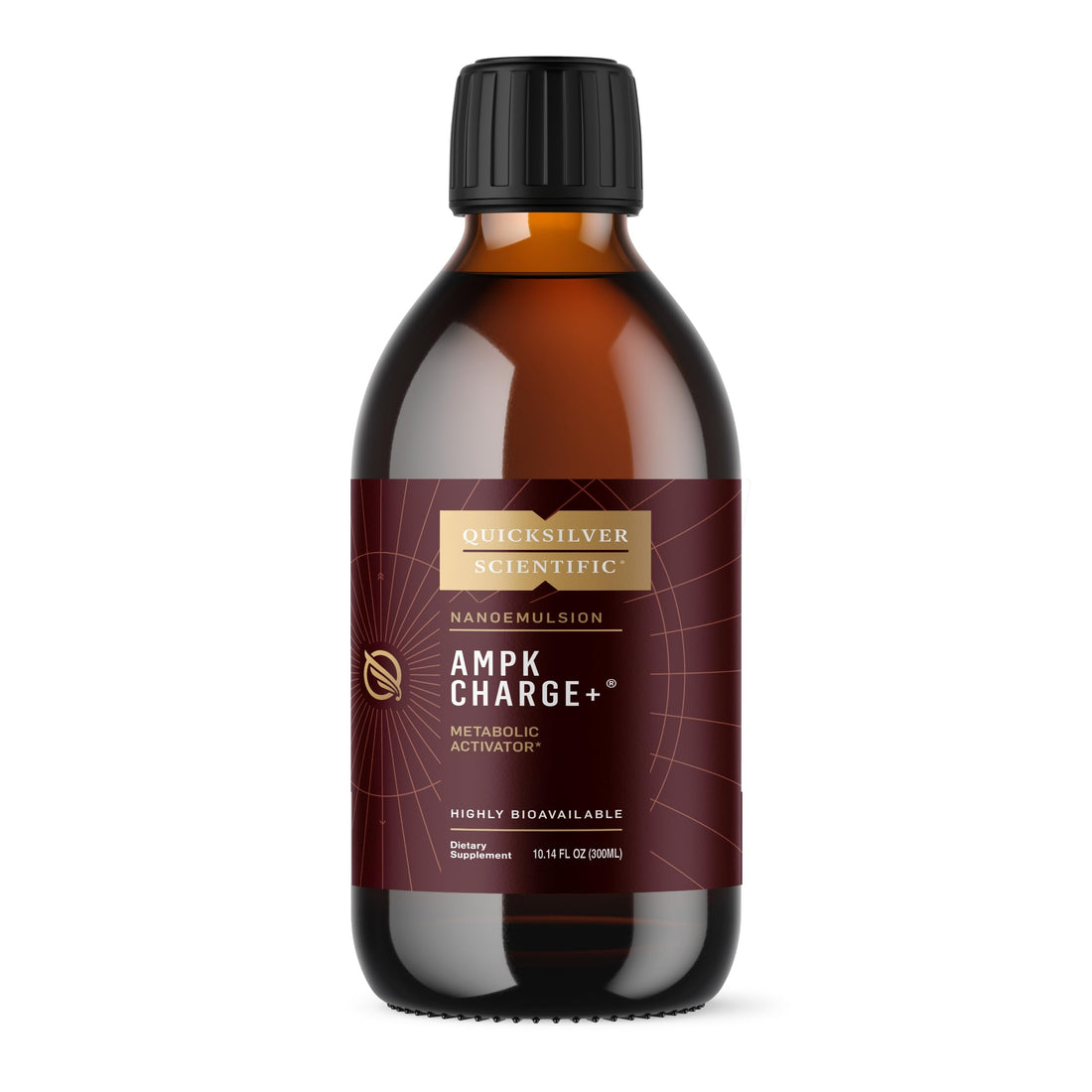 Quicksilver Scientific AMPK Charge+ - Support The Benefits of Intermittent Fasting, Carb Restrictive + Keto Protocols - Promotes Energy Production, Fat Breakdown + Healthy Aging (10.14oz / 300ml) Quicksilver ScientificUS supplements
