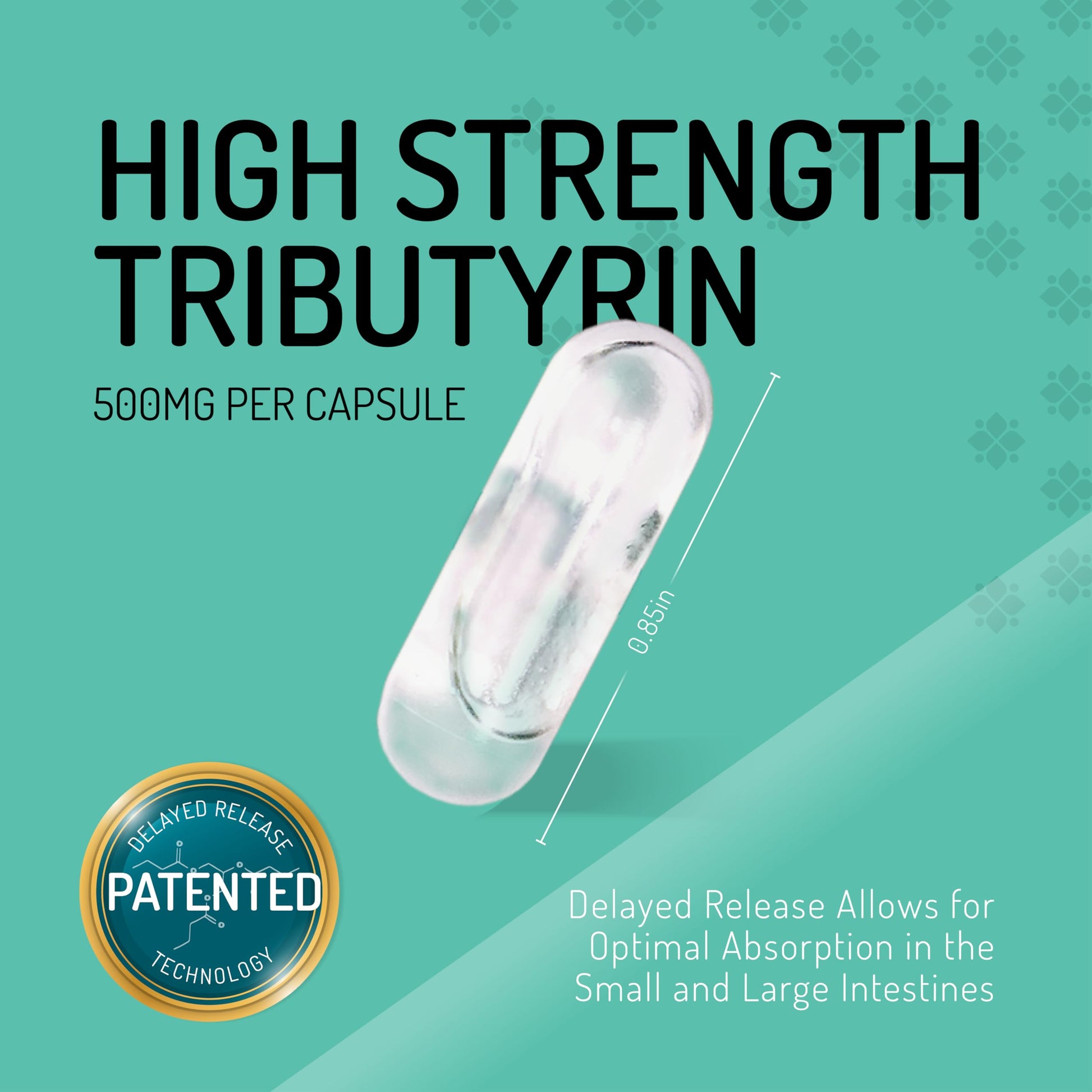 Healus Complete Biotic - Postbiotic Tributyrin Supplement - Postbiotics for Gut Health - Butyrate Gut Health Supplement HealusAu supplements