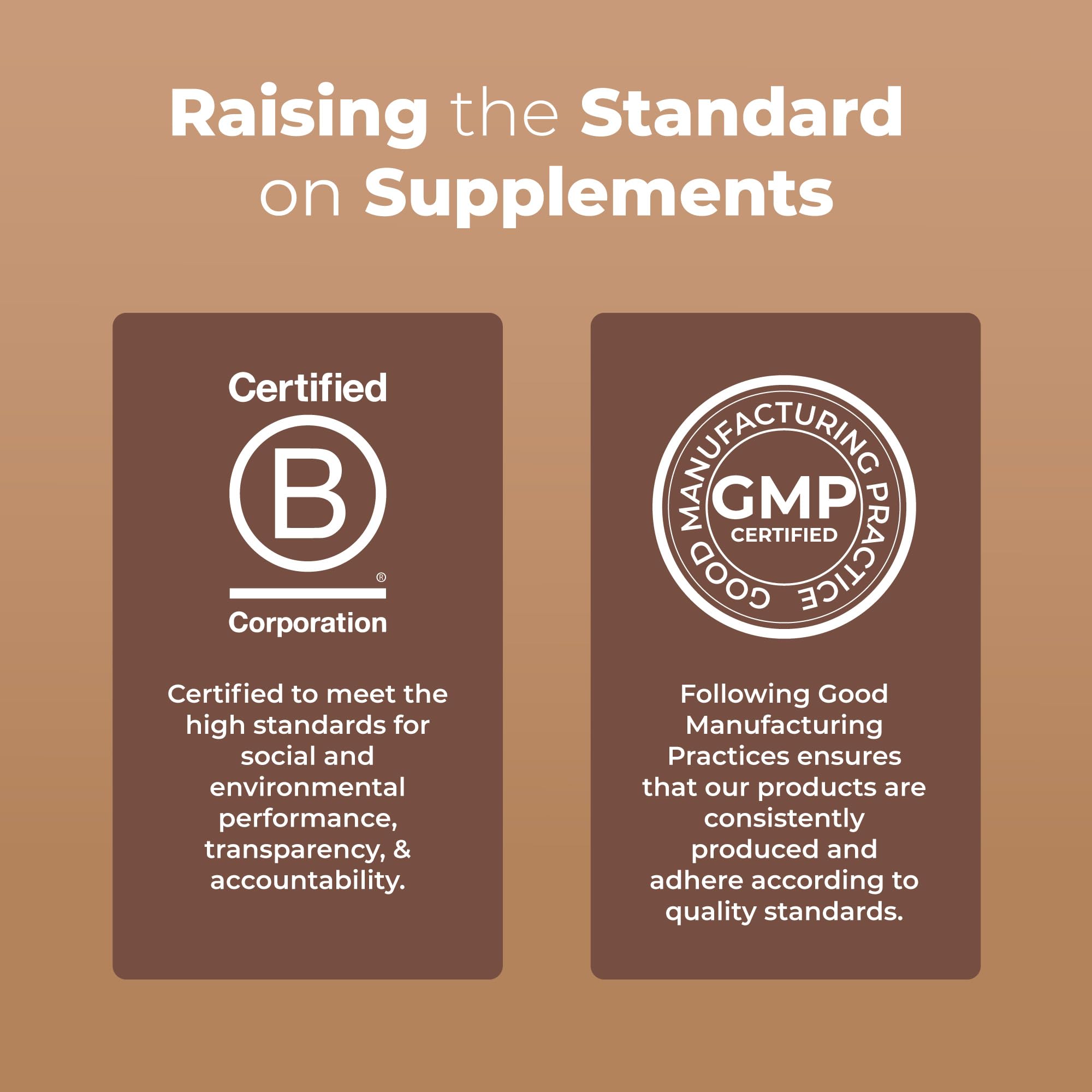 MaryRuth's Mushroom Complex | Lion's Mane | Turkey Tail | Reishi Mushroom | Shiitake Mushrooms | Alcohol Free | Mushroom Blend | Organic | Non-GMO | Vegan | 30 Servings MARYRUTH'SUS supplements
