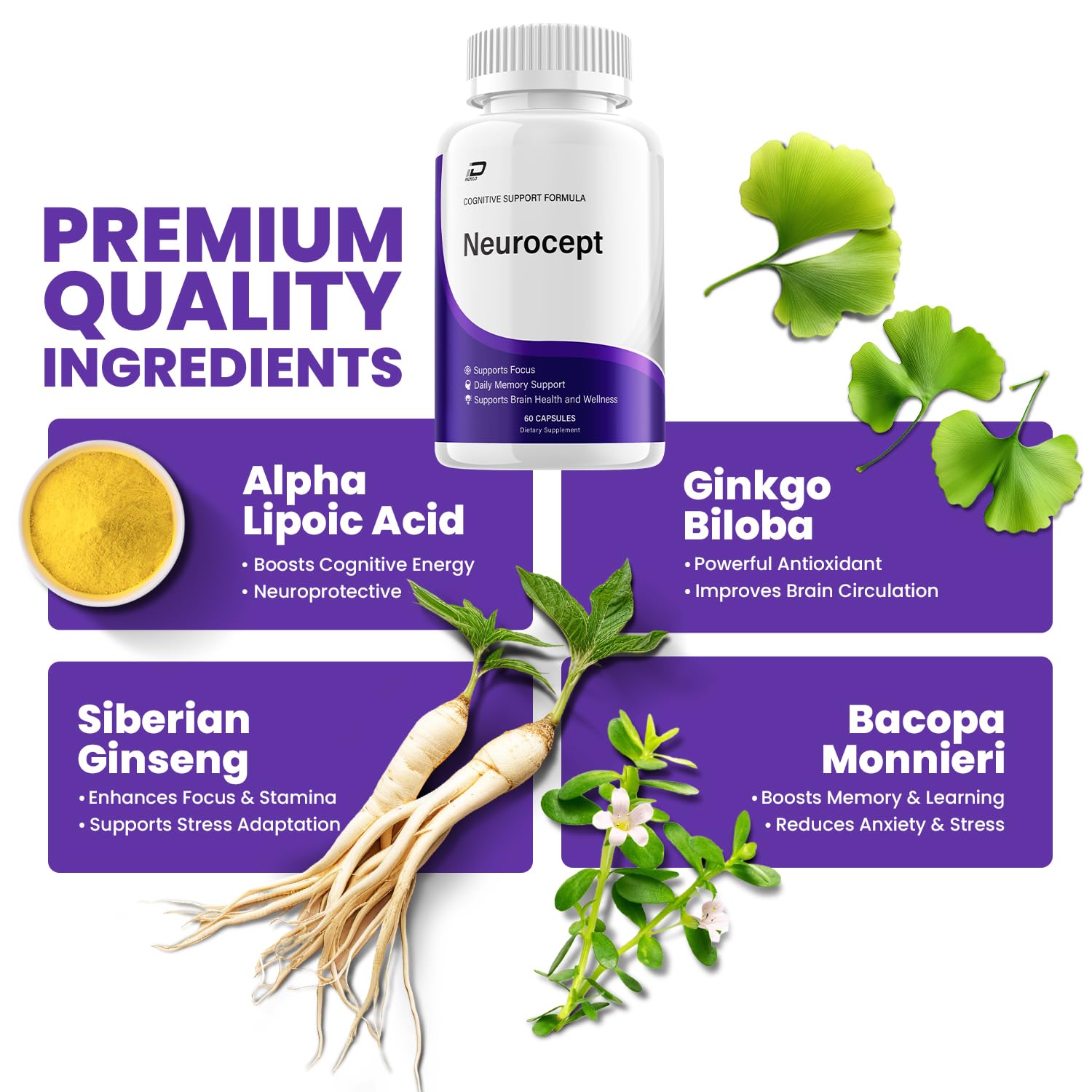 Neurocept Supplement Capsules – All Natural Maximum Strength Formula, Focus & Memory Support (60 Capsules) IndeloAu supplements