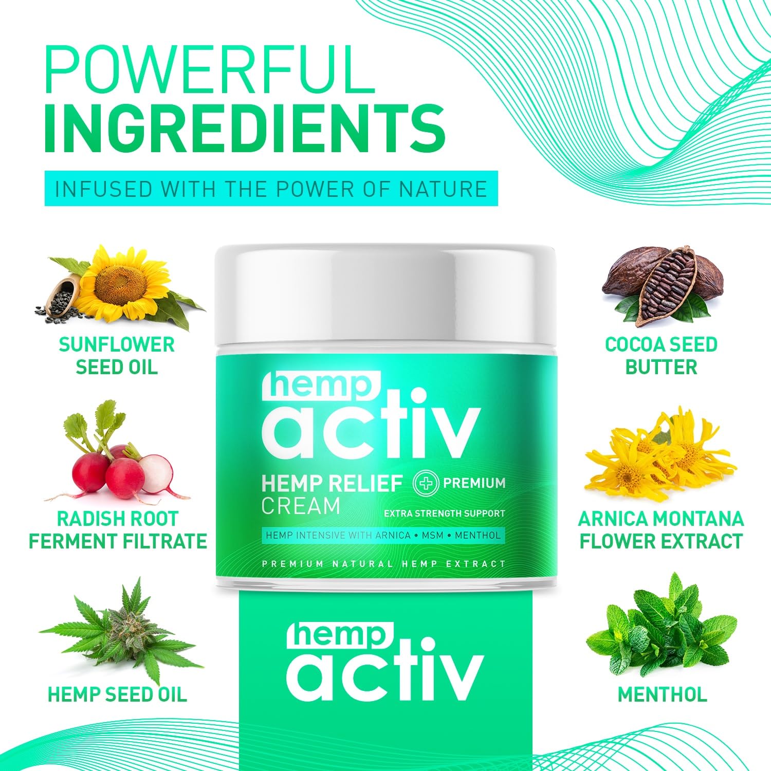 HEMPACTIV Cooling Hemp Cream – Menthol, MSM & Arnica – Fast-Absorbing, Non-Greasy Formula for Muscles & Joints – 4oz Best-Value Size HEMPACTIVAu supplements