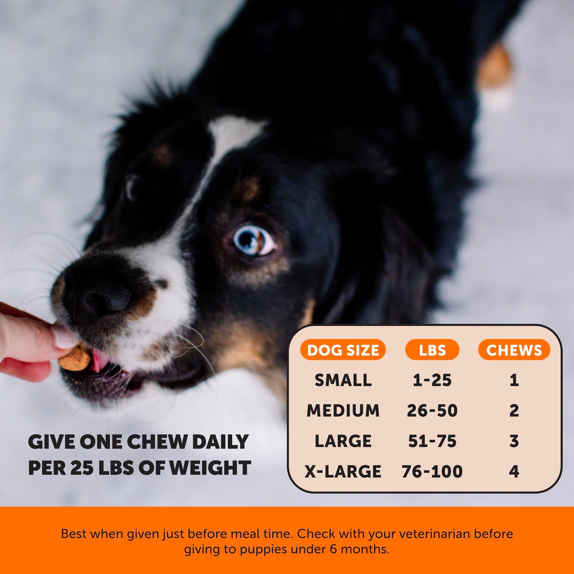 Hemp Hip & Joint Supplement for Dogs - Hemp Oil & Powder - Glucosamine Chondroitin for Dogs, Turmeric, MSM, Green-Lipped Mussel, Supports Mobility, May Reduce Discomfort (Bacon) Pet HonestyAu supplements