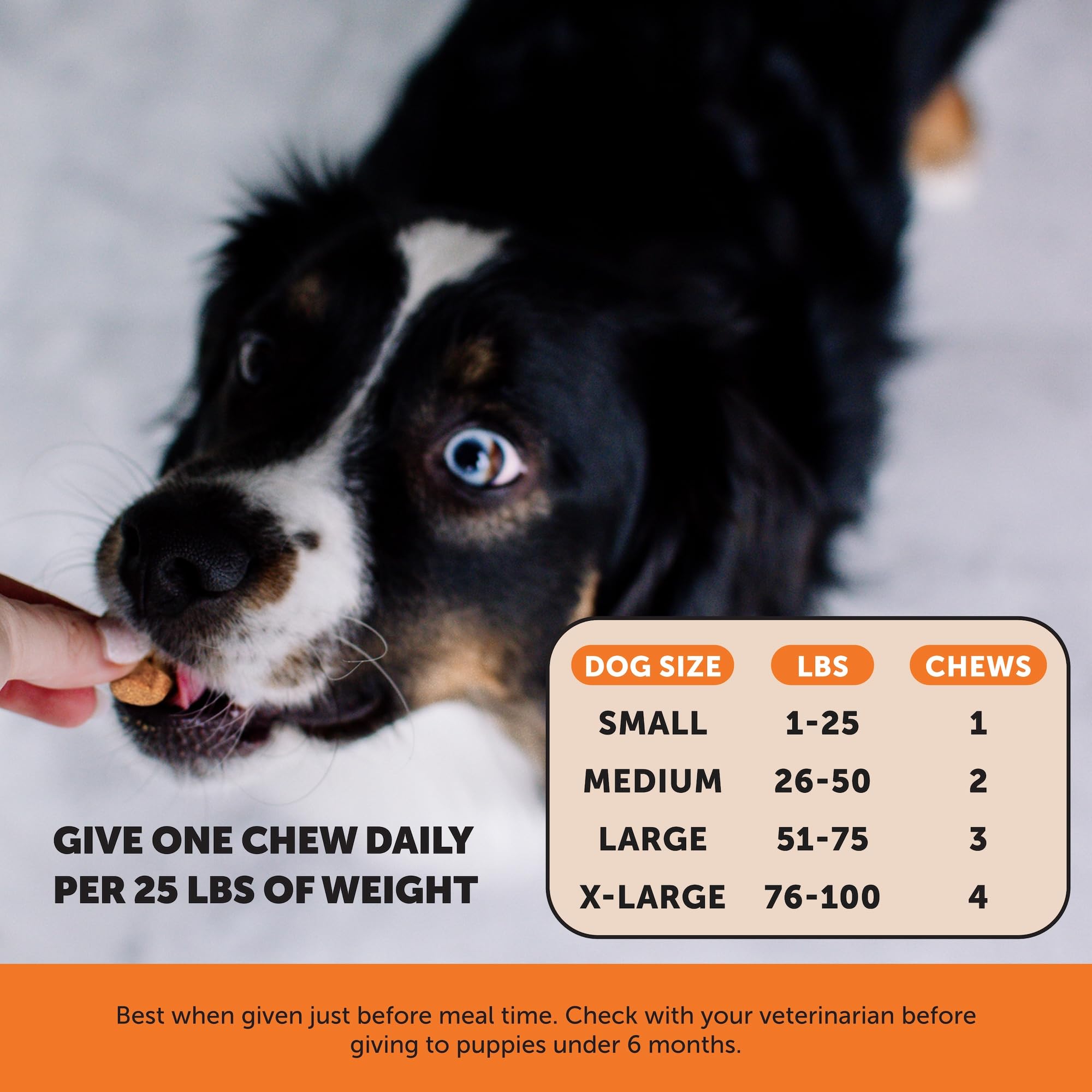 Hemp Hip & Joint Supplement for Dogs - Hemp Oil & Powder - Glucosamine Chondroitin for Dogs, Turmeric, MSM, Green-Lipped Mussel, Supports Mobility, May Reduce Discomfort (Bacon) Pet HonestyAu supplements