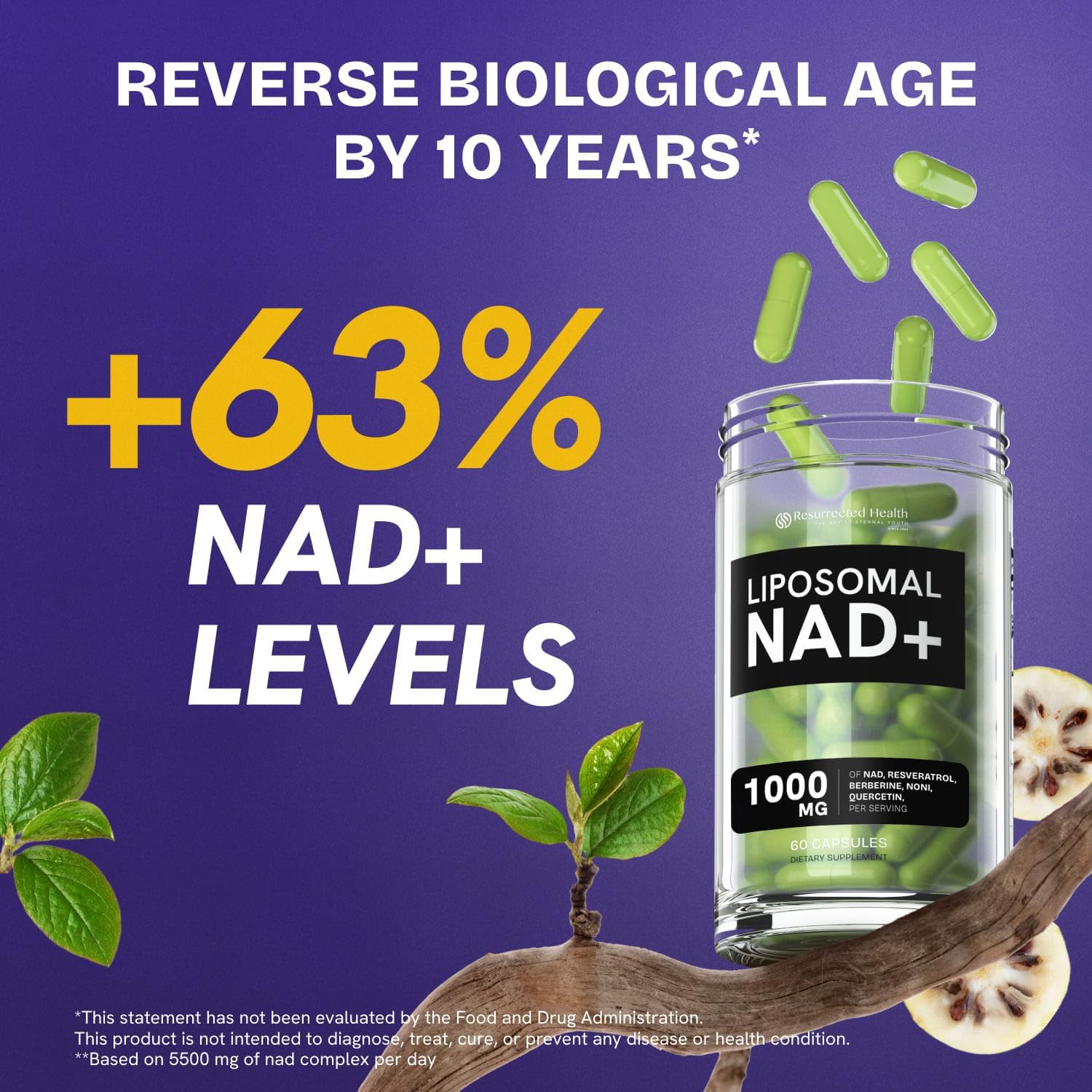 Liposomal NAD Supplement for Women w/Noni | 5-in-1 NAD Resveratrol Supplement w/Berberine & Quercetin | Pure NMN Powder Alternative | Supports Anti Aging & NAD+ Levels | 60 caps - 1 Pack Resurrected HealthAu supplements
