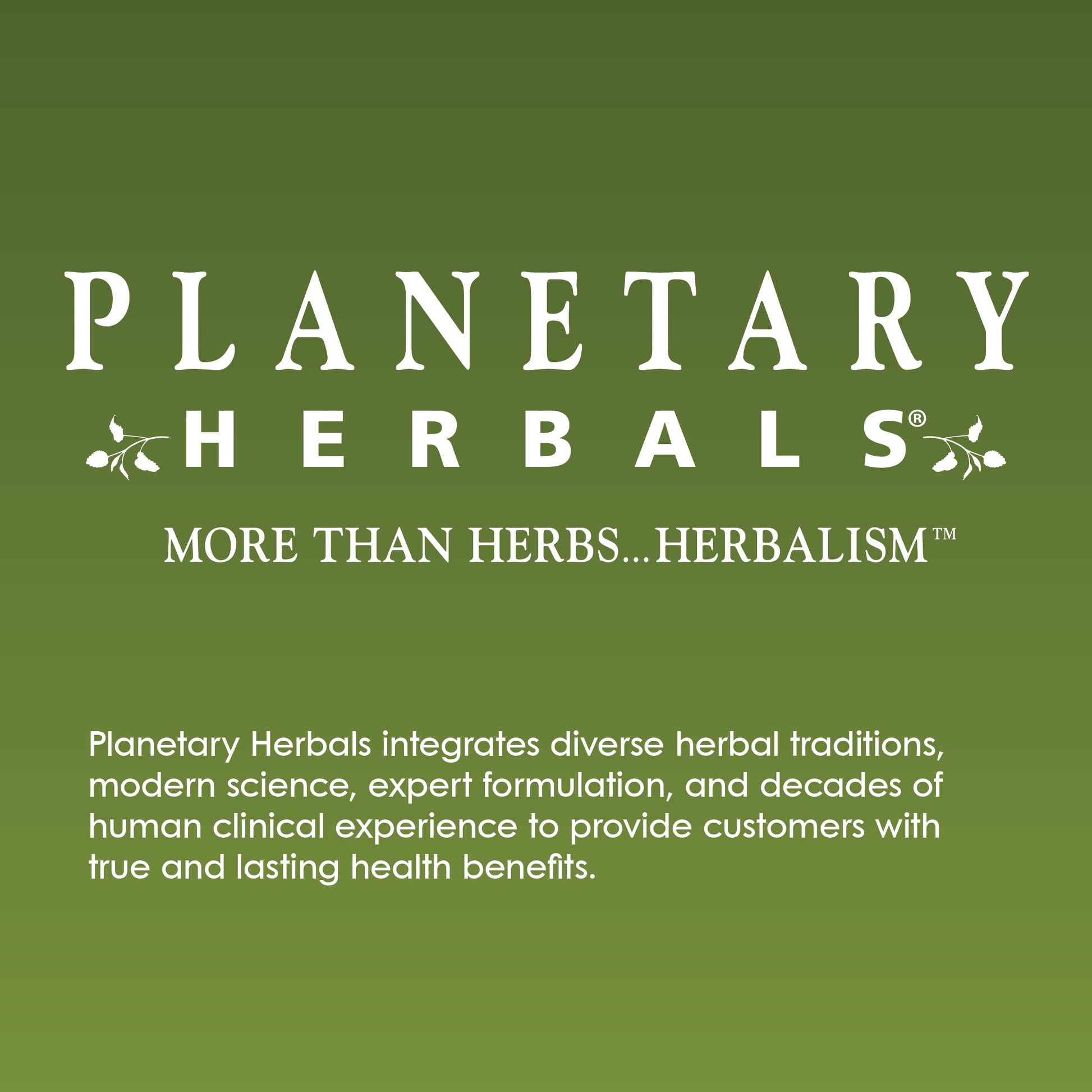 Planetary Herbals Positive Teens & Kids 435mg, Supports Emotional Well-Being,120 Tablets Planetary HerbalsAu supplements