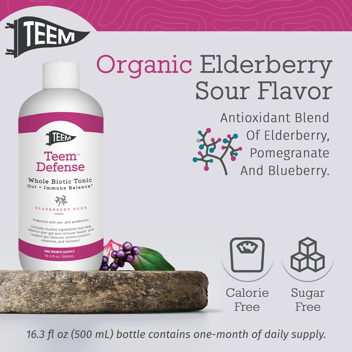 Teem Defense Liquid Probiotic with Elderberry, Whole Biotic Tonic for Digestion & Immunity, Prebiotic Probiotic & Postbiotic Supplement for Kids and Adults, 30 Day Supply – 16.3 Fl.Oz TeemAu supplements