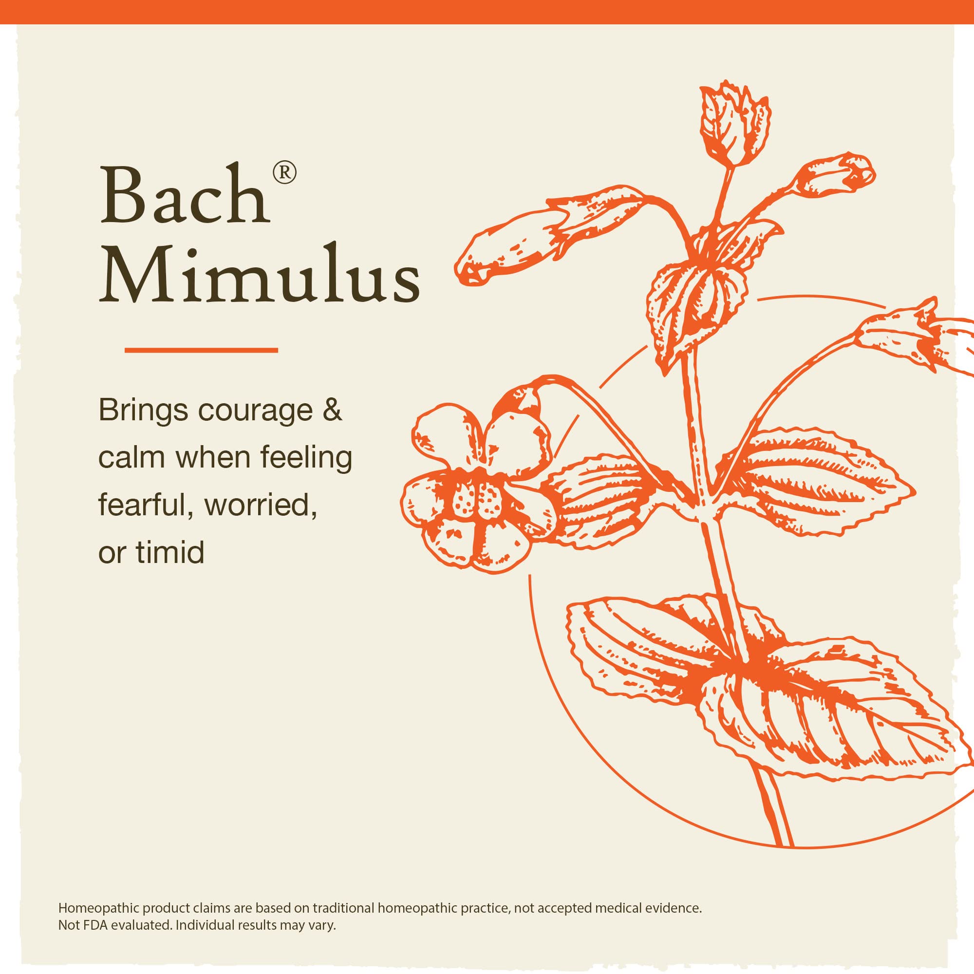 Bach Original Flower Remedies, Mimulus for Facing Fears (Non-Alcohol Formula), Natural Homeopathic BachAu supplements