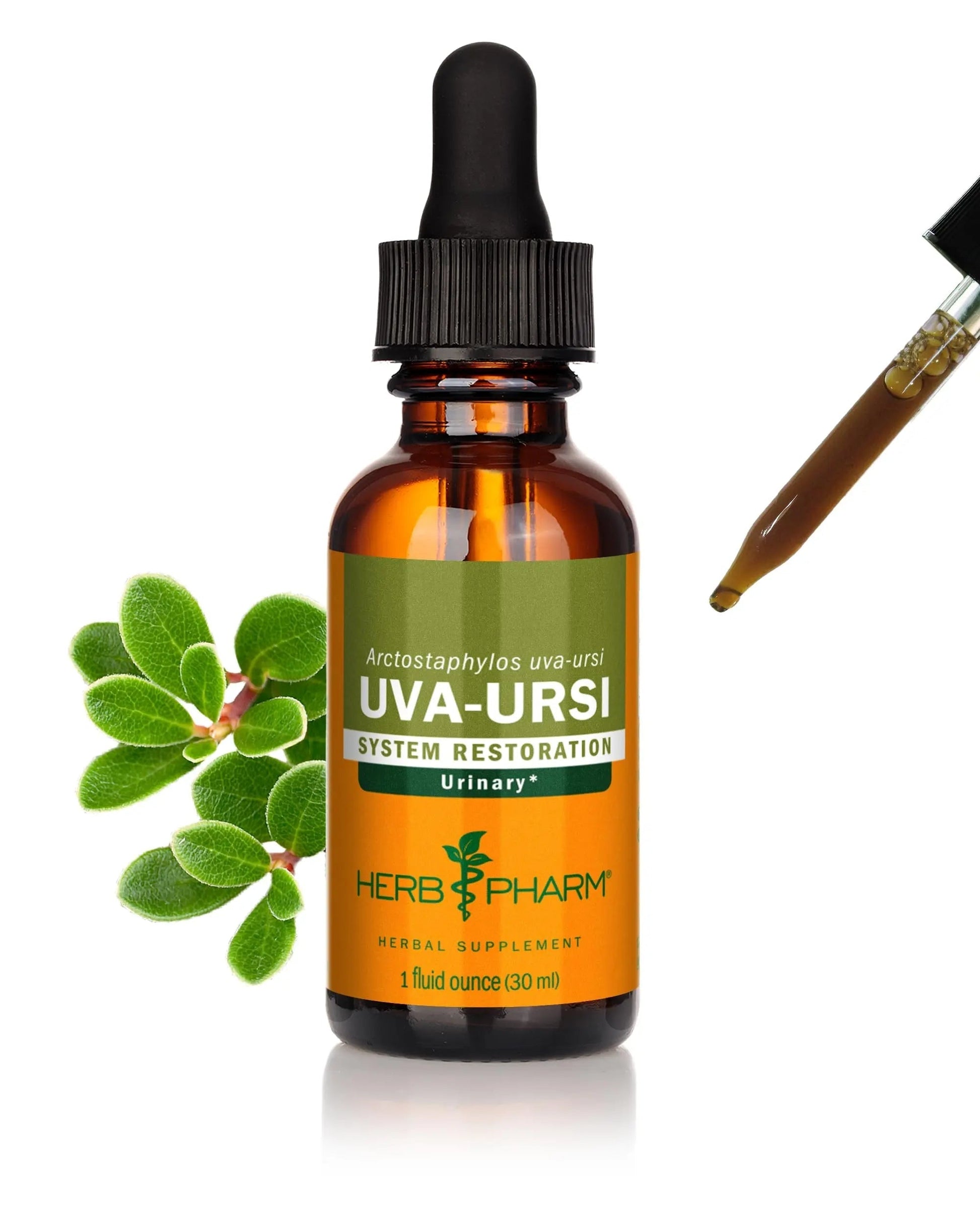 Herb Pharm Uva Ursi Liquid ExtraCount for Urinary System Support, 1 Fl Oz Herb PharmAu supplements