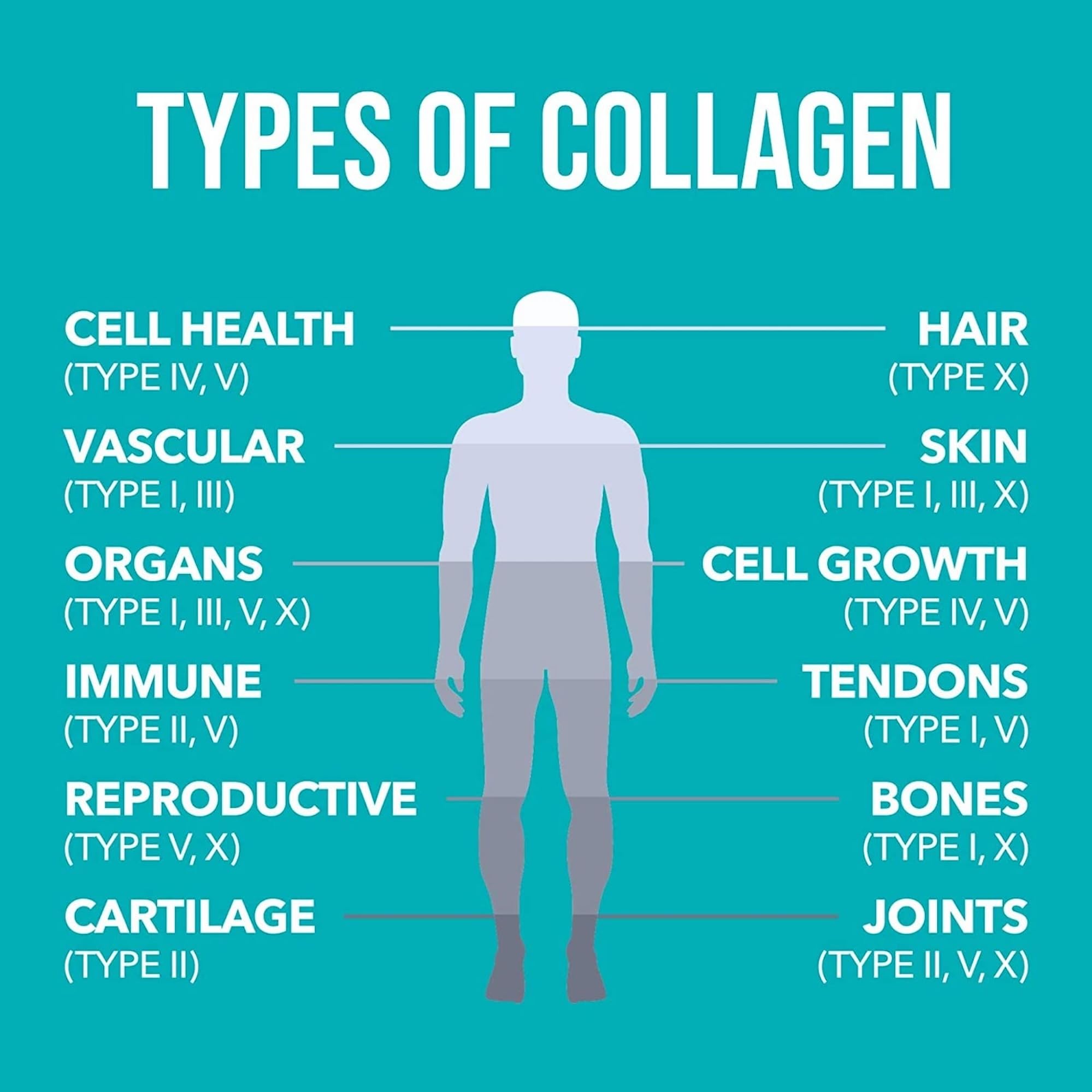 NaturesPlus Collagen Peptides Powder - Premium Hydrolysed Collagen Supplement, 6 Major Types Nature's PlusAu supplements