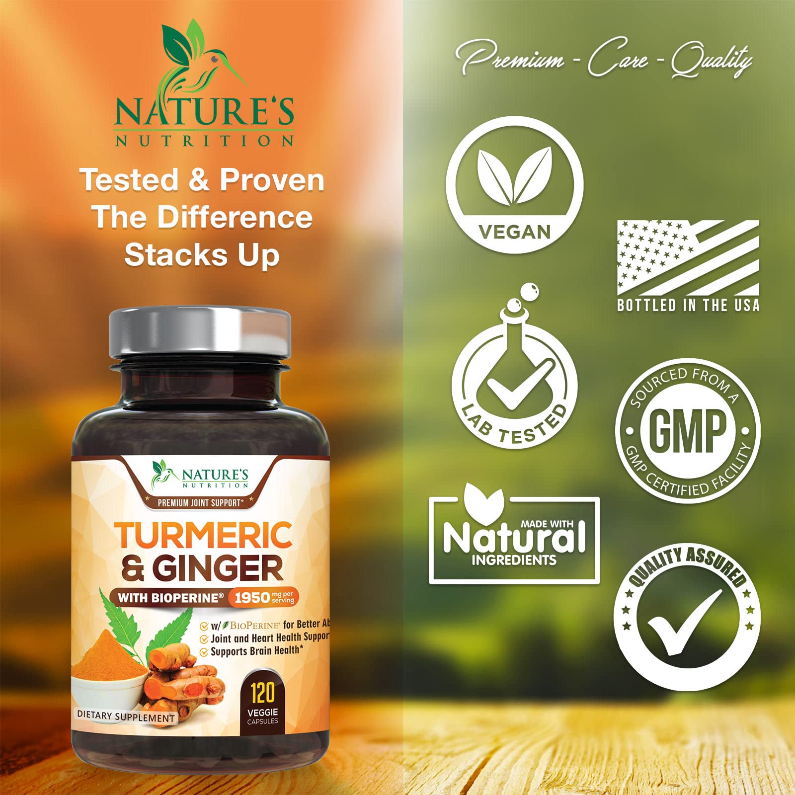 Turmeric Curcumin with BioPerine & Ginger 95% Standardized Curcuminoids Nature's NutritionUS supplements