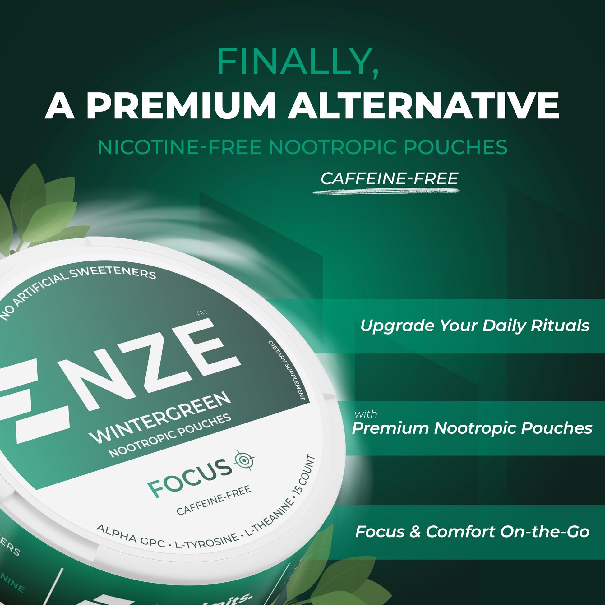 NZE Caffeine Free Nootropic Pouches (Wintergreen) - Nootropic Pouches with Alpha GPC, L-Tyrosine & L-Theanine - No Sugar or Artificial Sweeteners - 15 Pouches Per Can - 5 Pack NZEAu supplements