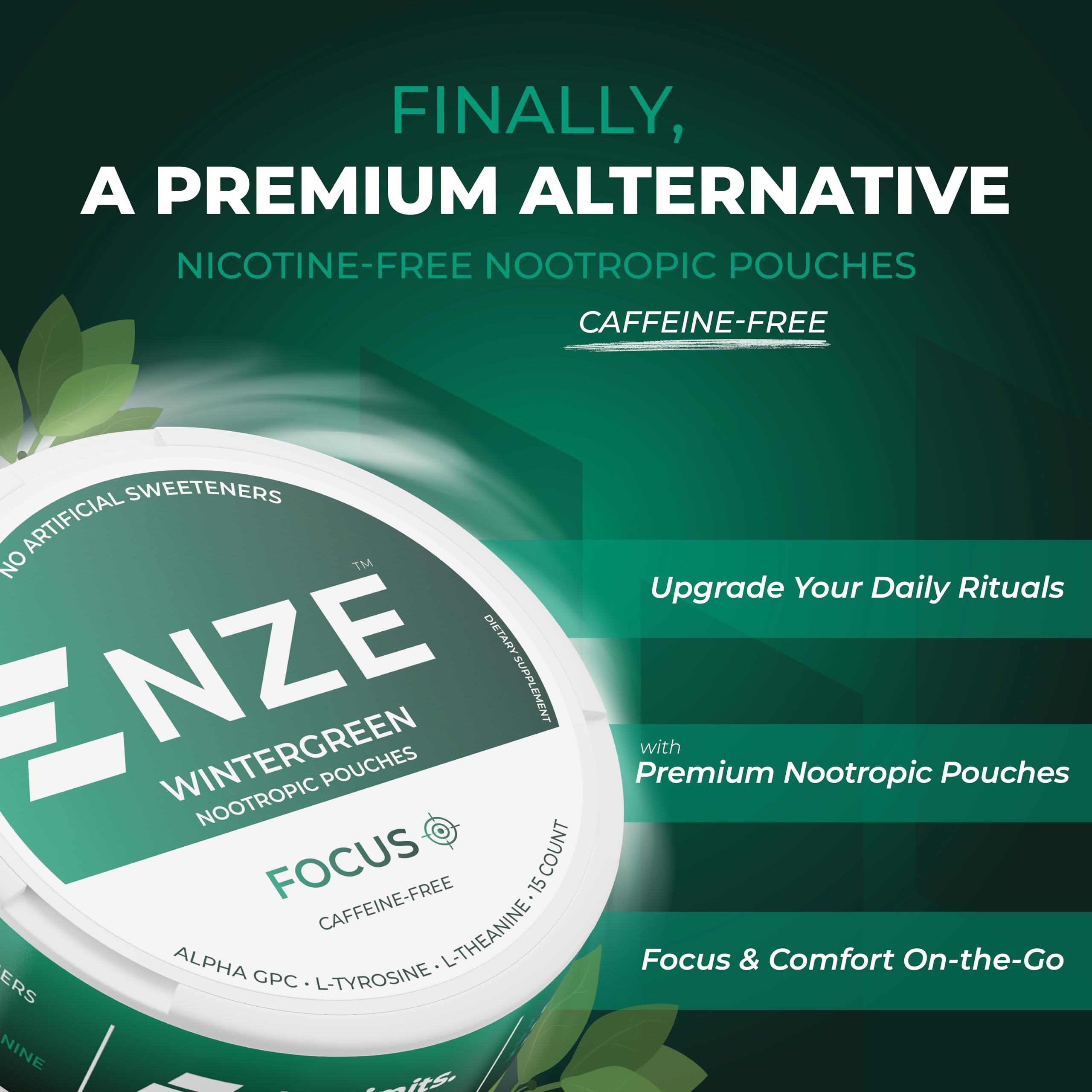 NZE Caffeine Free Nootropic Pouches (Wintergreen) - Nootropic Pouches with Alpha GPC, L-Tyrosine & L-Theanine - No Sugar or Artificial Sweeteners - 15 Pouches Per Can - 5 Pack NZEAu supplements