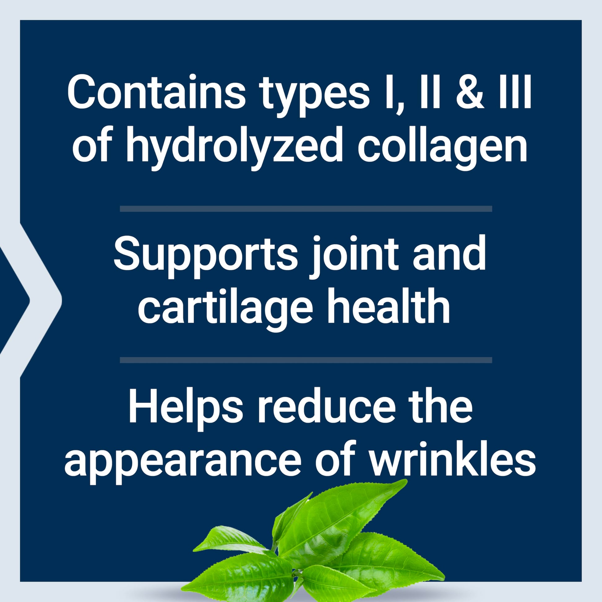 Life Extension Collagen Peptides for Skin & Joints, Collagen Types I, II & III in an Easy-Mix Powder, Gluten Free, Non-GMO, net Weight 343 Grams Life ExtensionAu supplements