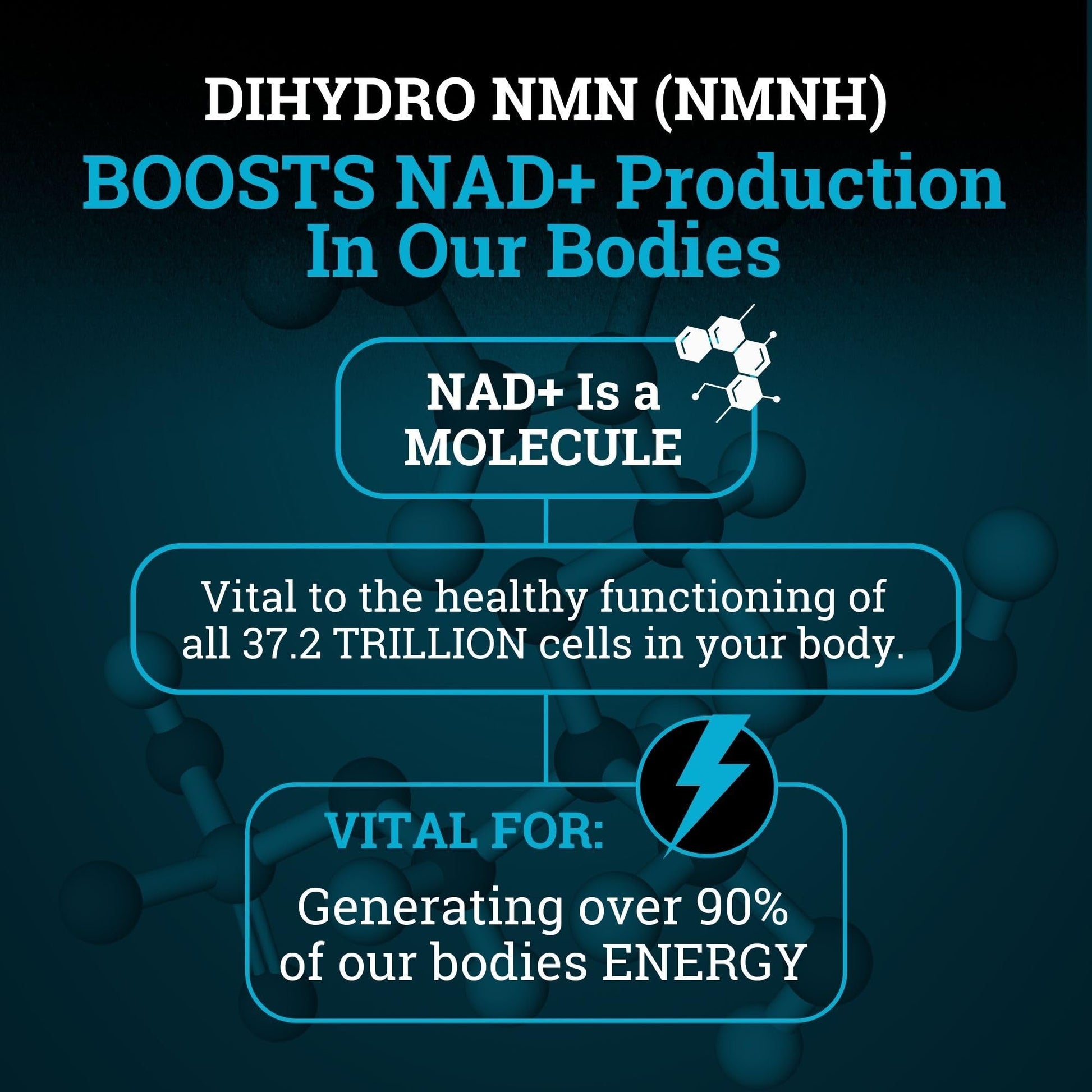 NMNH Supplement 250MG Pure Dihydro-Nicotinamide Mononucleotide (NMN Supplement Alternative with Bioperine® For 3X The Bioavailability) NAD Supplement to Boost NAD+ Levels For Anti-Aging & Energy Black ForestAu supplements