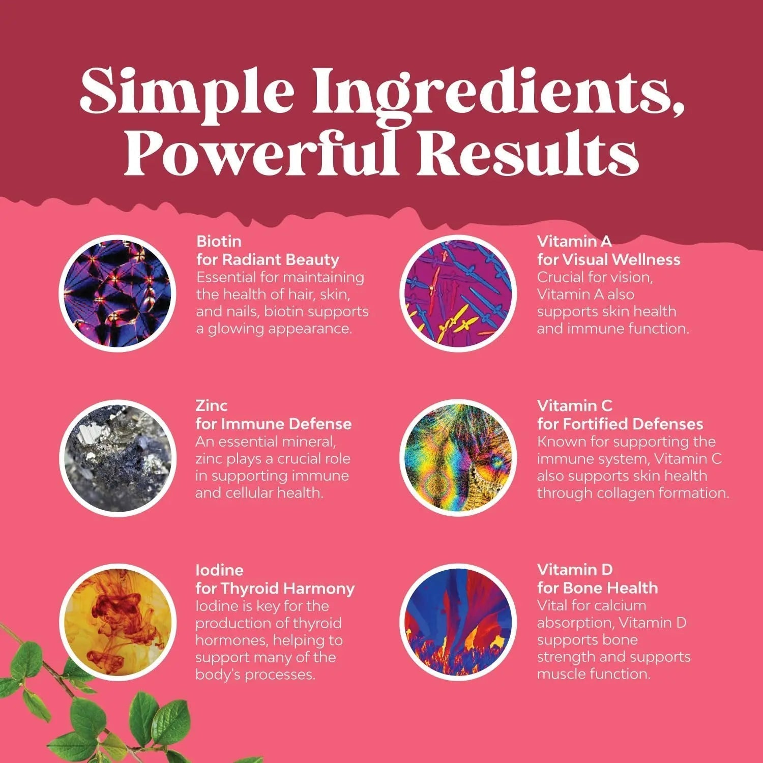 Bundle of Daily Mens Multivitamins Gummies with Zinc and Biotin for Energy and Immunity and Daily Multivitamin for Women Gummies - Gummy Vitamins for Health and Wellness Natures CraftAu supplements