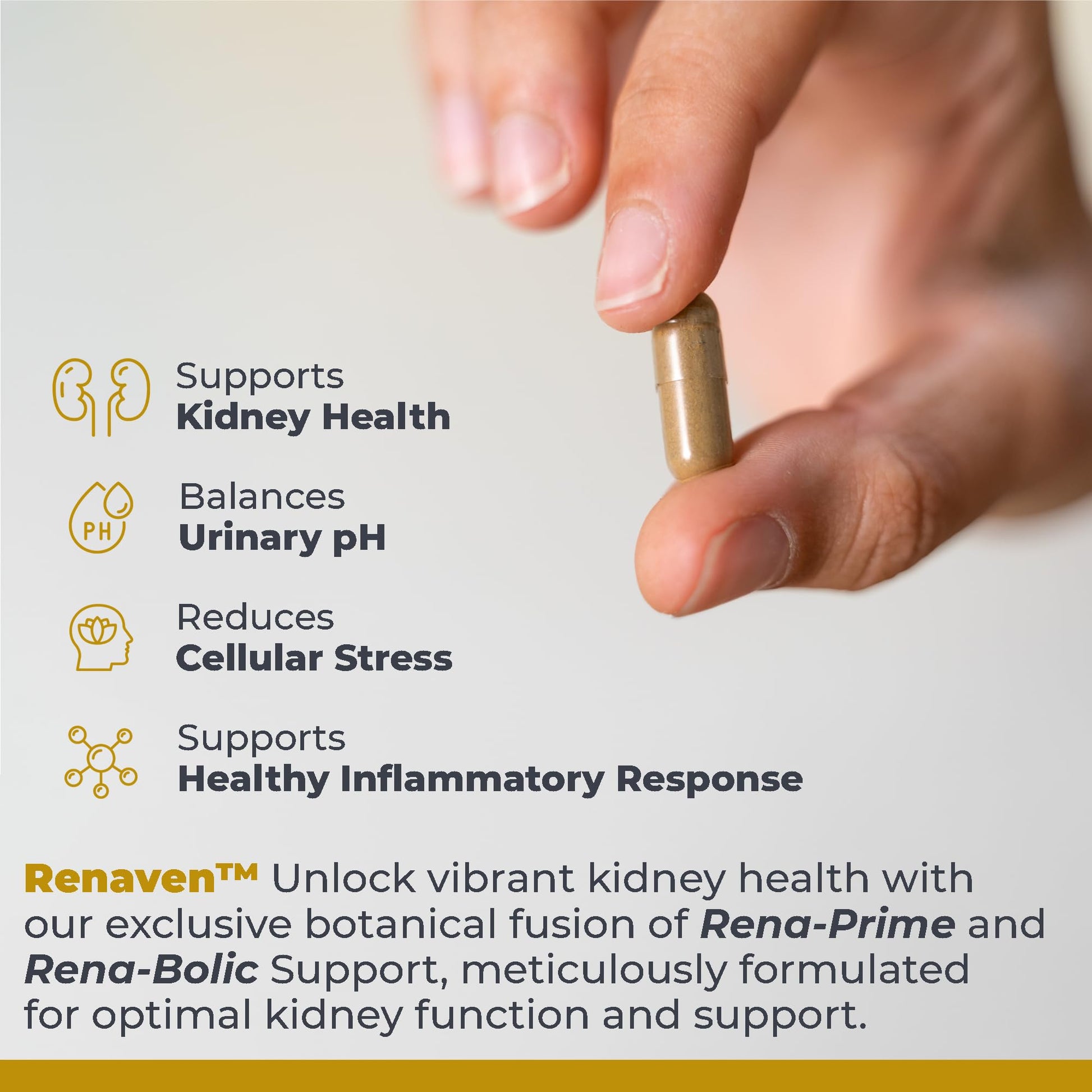 Premier Research Labs RenaVen - Premier Kidney Support for Kidney Cleanse Detox and Repair | Improve Kidney Function and Urinary Support with Fermented Cordyceps - 60 Plant-Source Capsules Premier Research LabsAu supplements