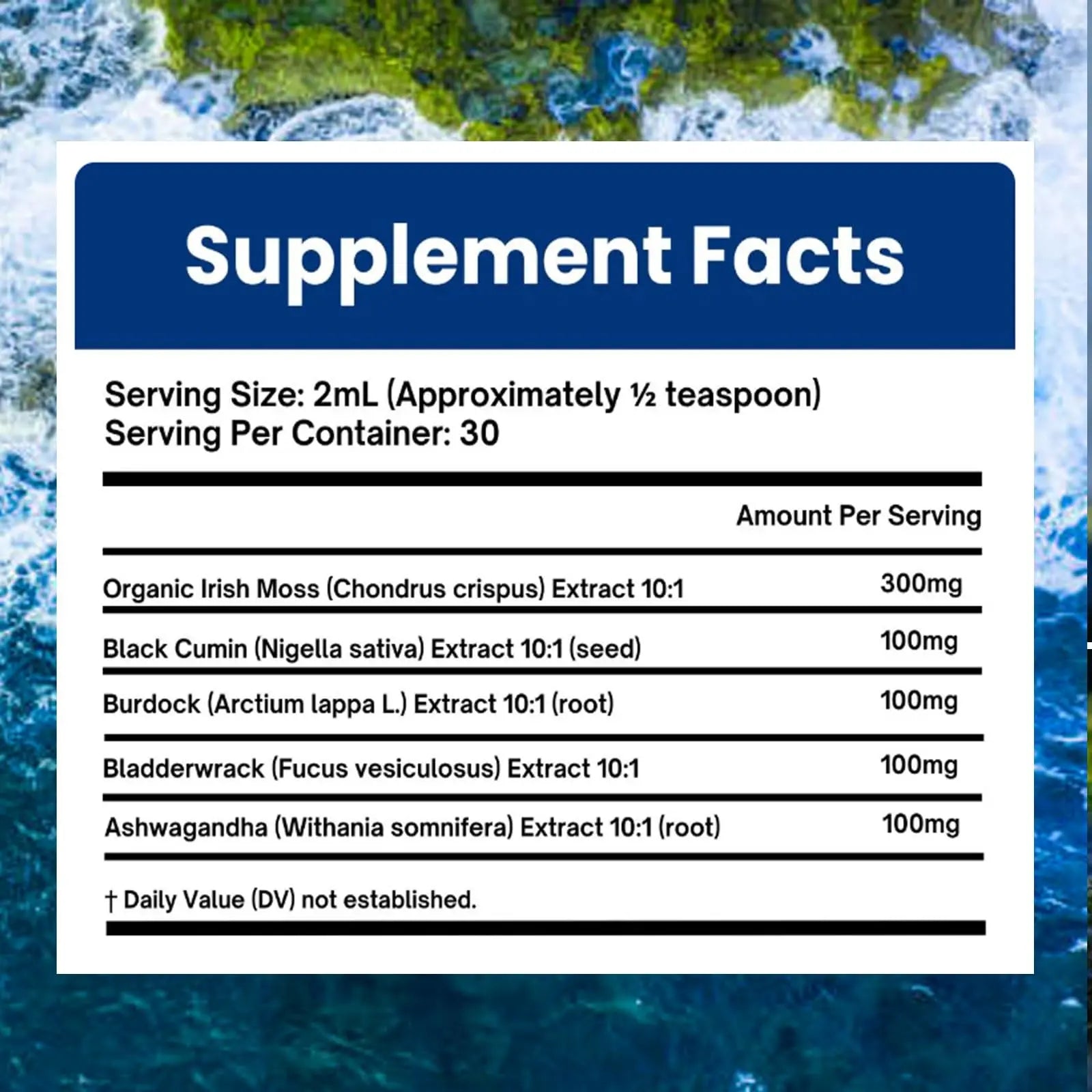 Velestoff Irish Seamoss Thyroid Hormone Regulator, Velestoff Thyroid Support Drops | Sea Moss, Black Seed Oil, Ashwagandha, Burdock Root, Bladderwrack, Hormone Balance & Support - 2 FL.OZ (1 Pcs) Velestoffnz supplements