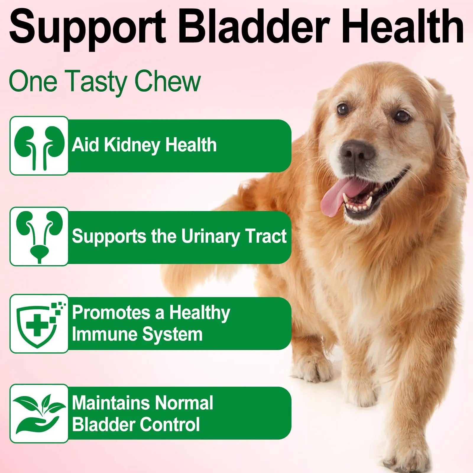 Dog UTI Treatment - Urinary Tract Infection Treatments, Kidney+Bladder Support Supplement, Natural Cranberry Extract for Dogs, Supports Urinary and Digestive Health (2 Fl Oz (Pack of 2)) OnznozAu supplements