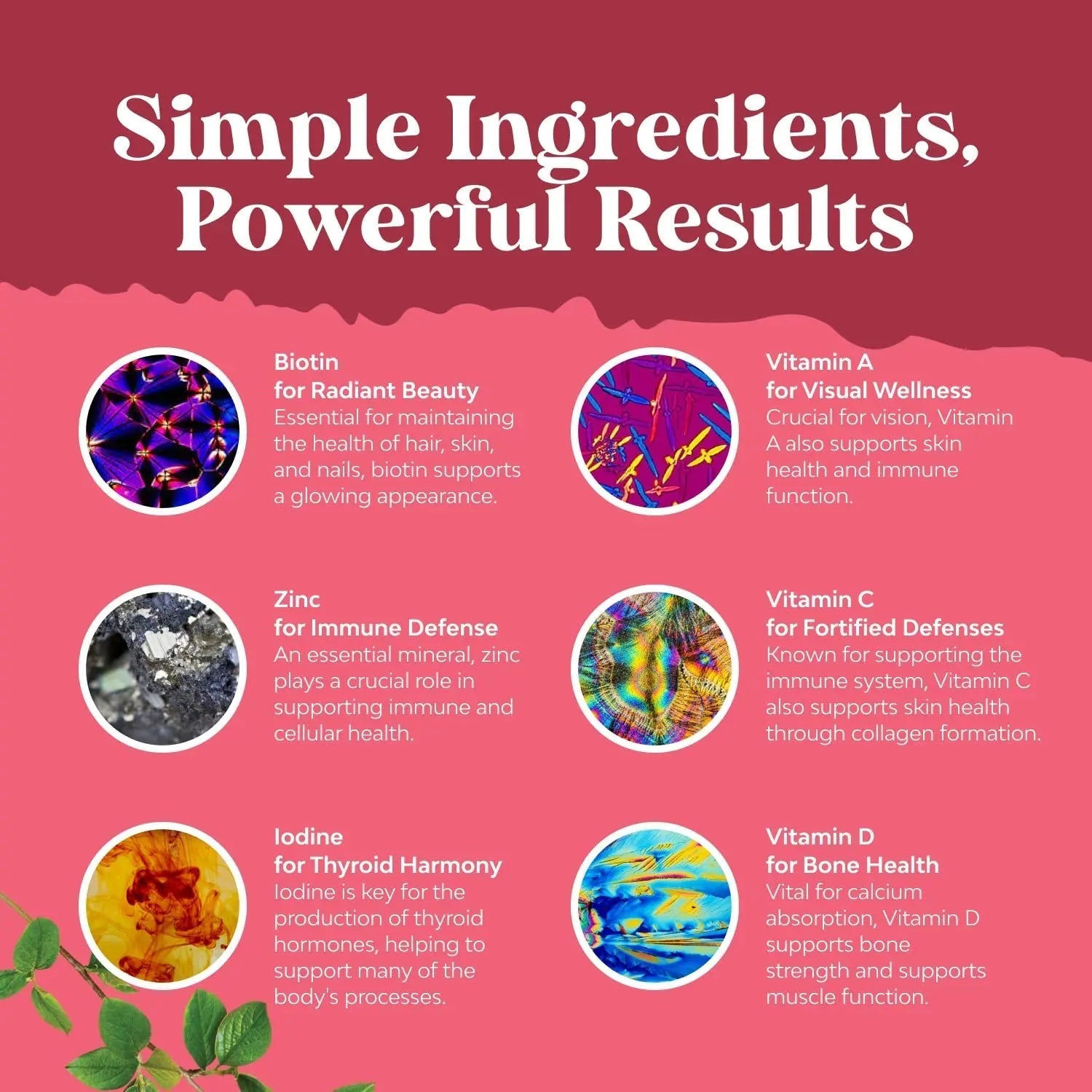 Delicious Daily Multivitamin for Women Gummies - Women's Multivitamin Gummies for Adults Energy and Immunity Natures CraftAu supplements