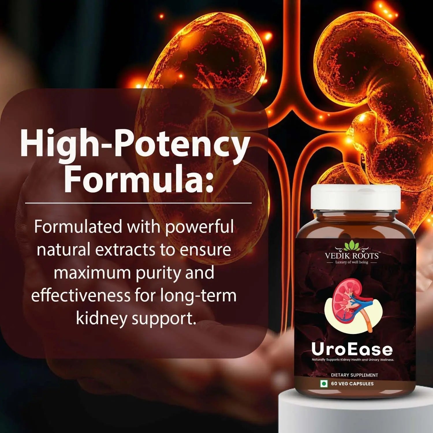 VEDIKROOTS UroEase | Ayurvedic Herbal Supplement for Kidney Health & Uric Acid Levels | Supports Urinary Tract Health | 60 Veg Capsules VEDIKROOTSAu supplements