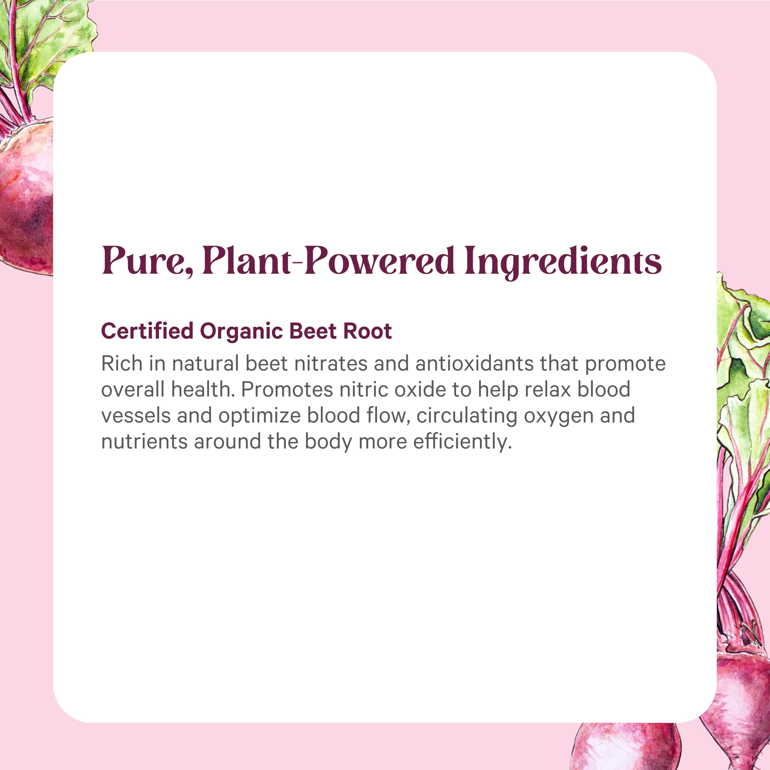 PURE SYNERGY Organic Beet Juice Powder | Pre-Workout Supplement | Organic Beet Root Juice Powder | for Healthy Circulation, Exercise, and Detoxification (6.4 oz.) PURE SYNERGYAu supplements