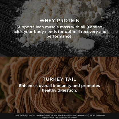 The Genius Brand Protein Powder - Chocolate + Adaptogenic Mushroom Blend - Plant-Based Protein with Reishi, Cordyceps & Lion’s Mane - Daily Muscle Recovery & Immune Support - 20 Servings The Genius BrandUS supplements
