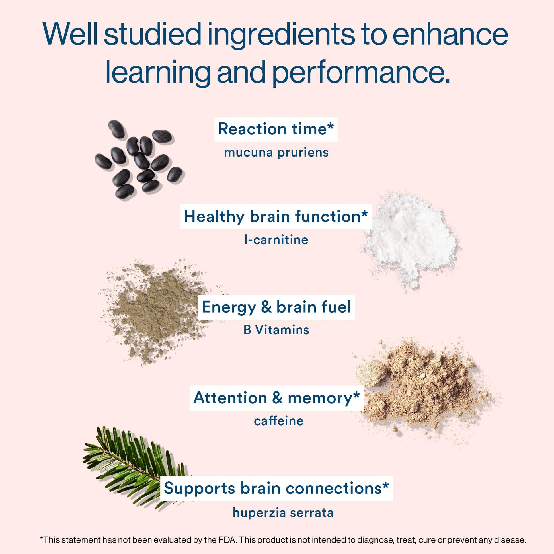 More Labs Liquid Focus, Nootropic Smart Drink with Powerful Antioxidants & Adaptogenic Herbs for Energy and Concentration, 150mg Caffeine (Pack of 12) More LabsAu supplements