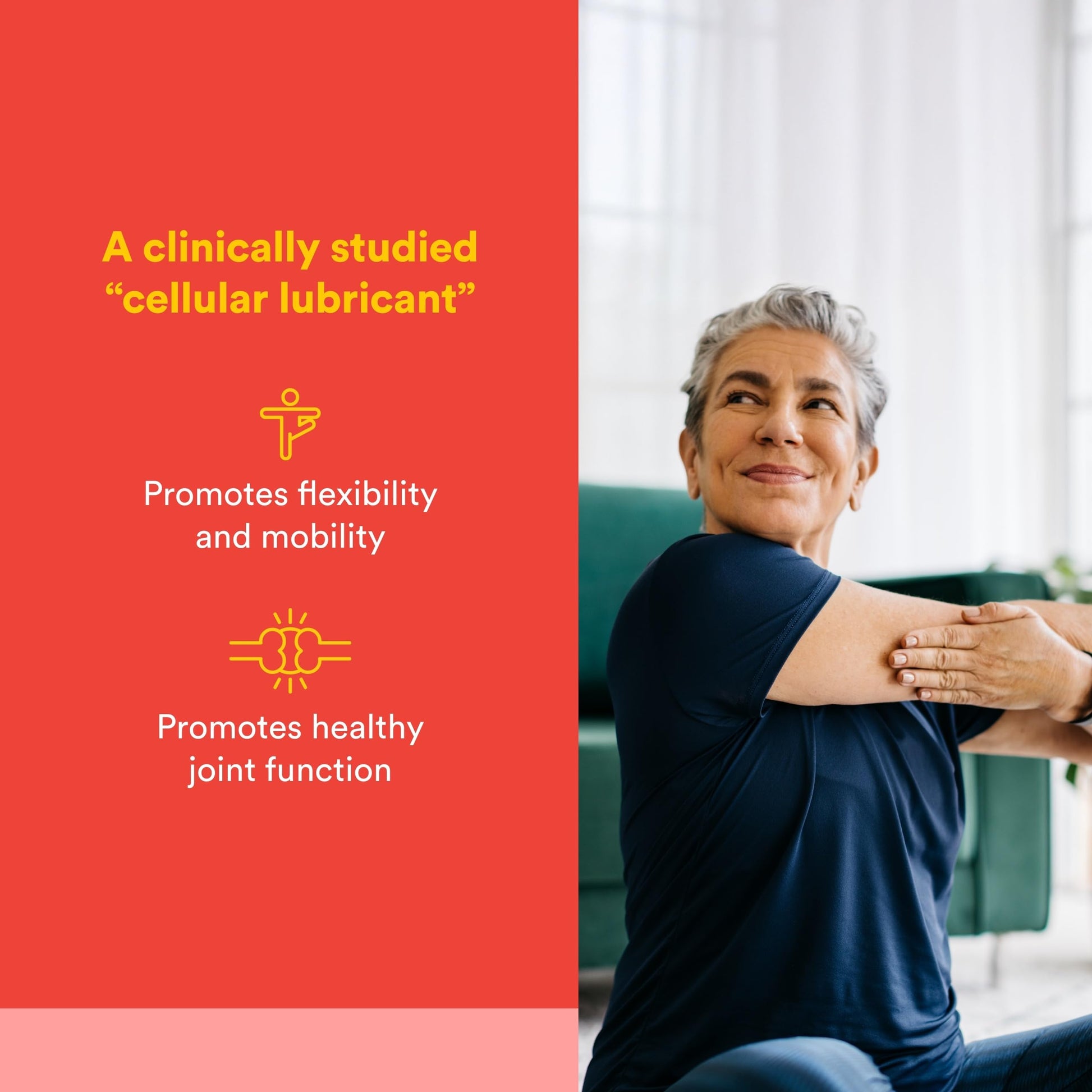 Natural Factors, Celadrin Joint Health, Promotes Flexibility, Mobility and Joint Function, 90 Softgels Natural FactorsAu supplements