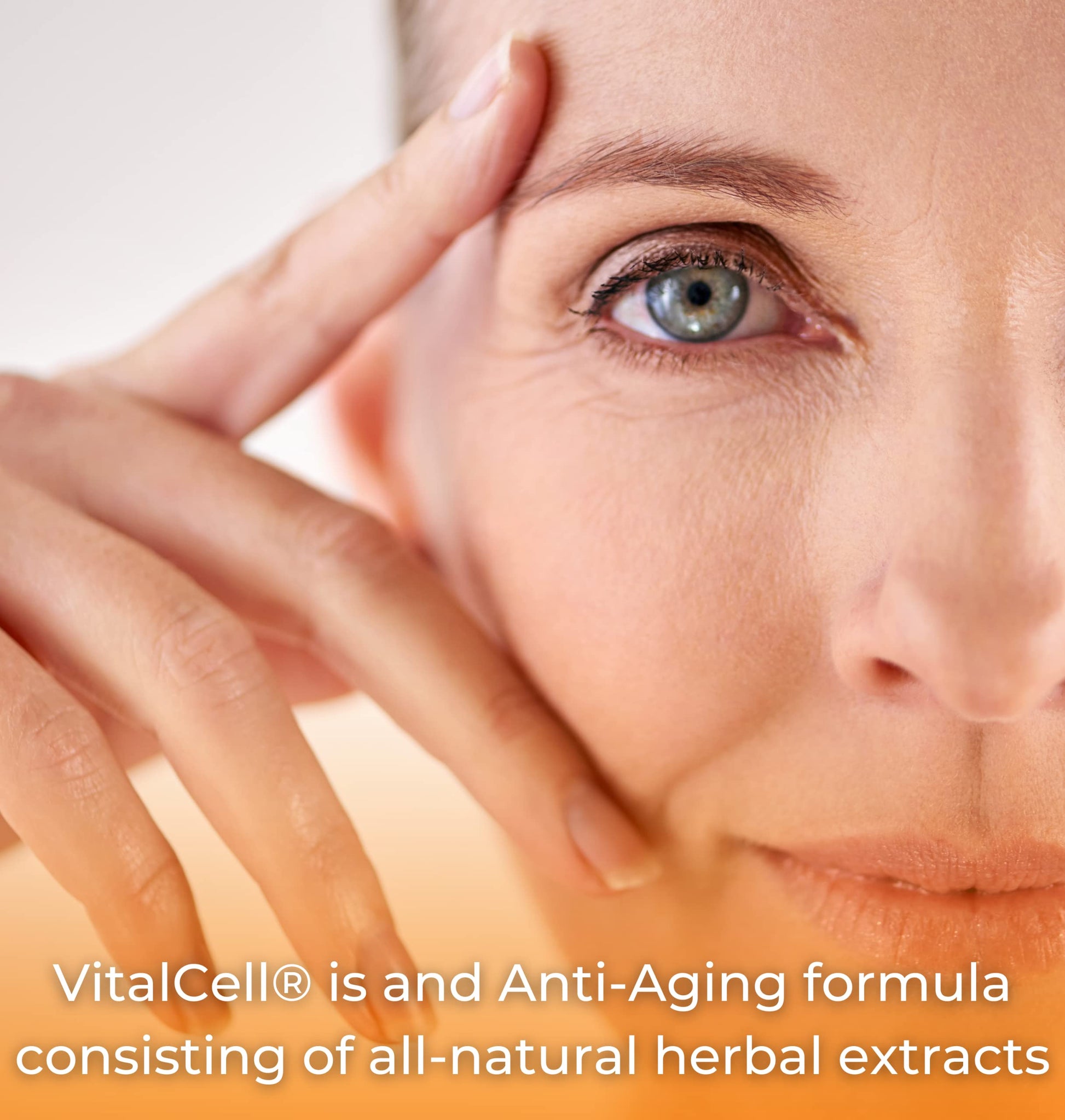 Vital Cell Natural Anti-Aging Supplement for Men and Women, Supporting Circulation and Healthy Organ Function (180 Vegetarian Capsules) TangoAu supplements