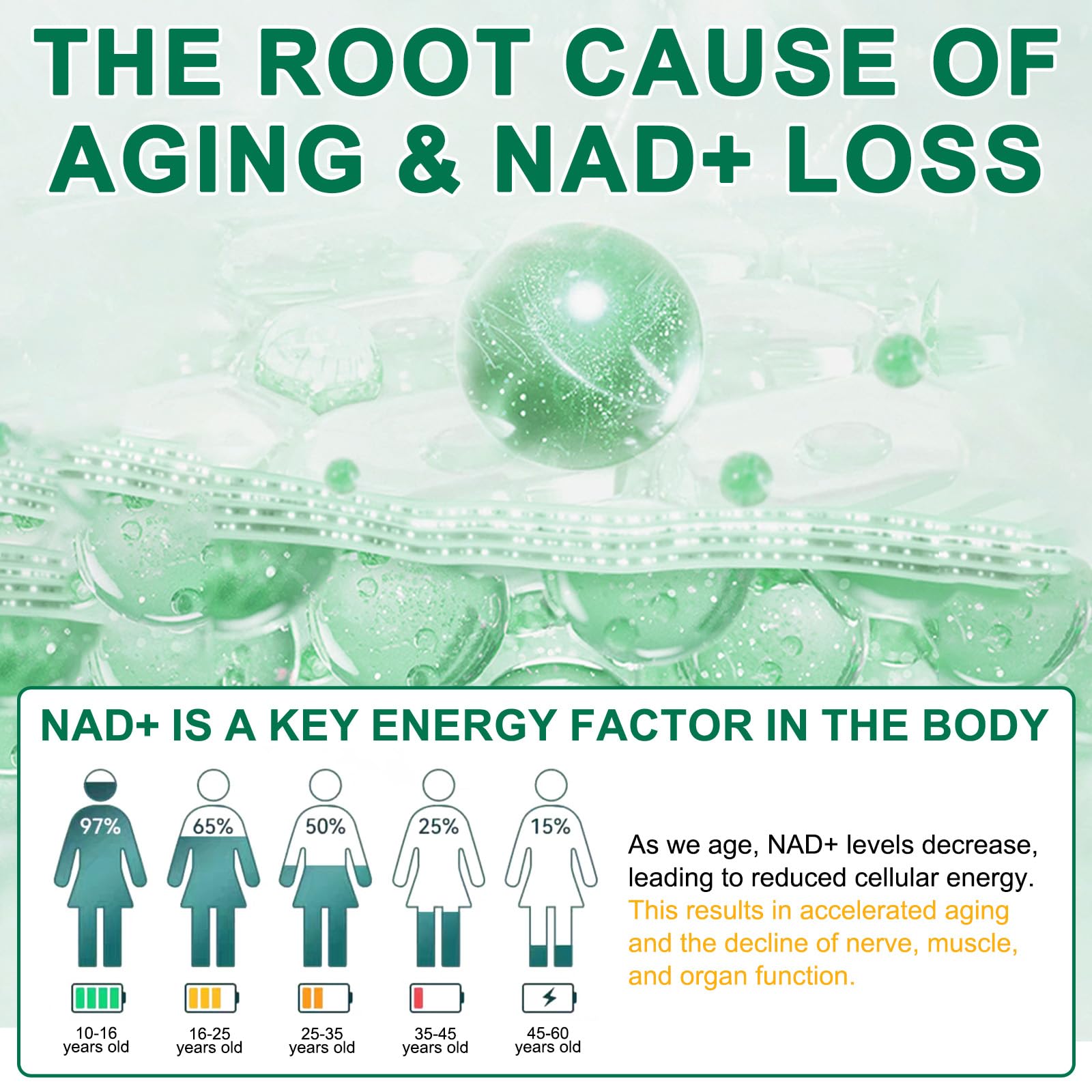 NAD Supplement 120 Capsules, Liposomal Nicotinamide Riboside, Resveratrol, Quercetin, NAD Nicotinamide Riboside Resveratrol 910mg for Women & Men, NAD Supplement for Anti Aging and Cell Regeneration RHBESTOKAu supplements