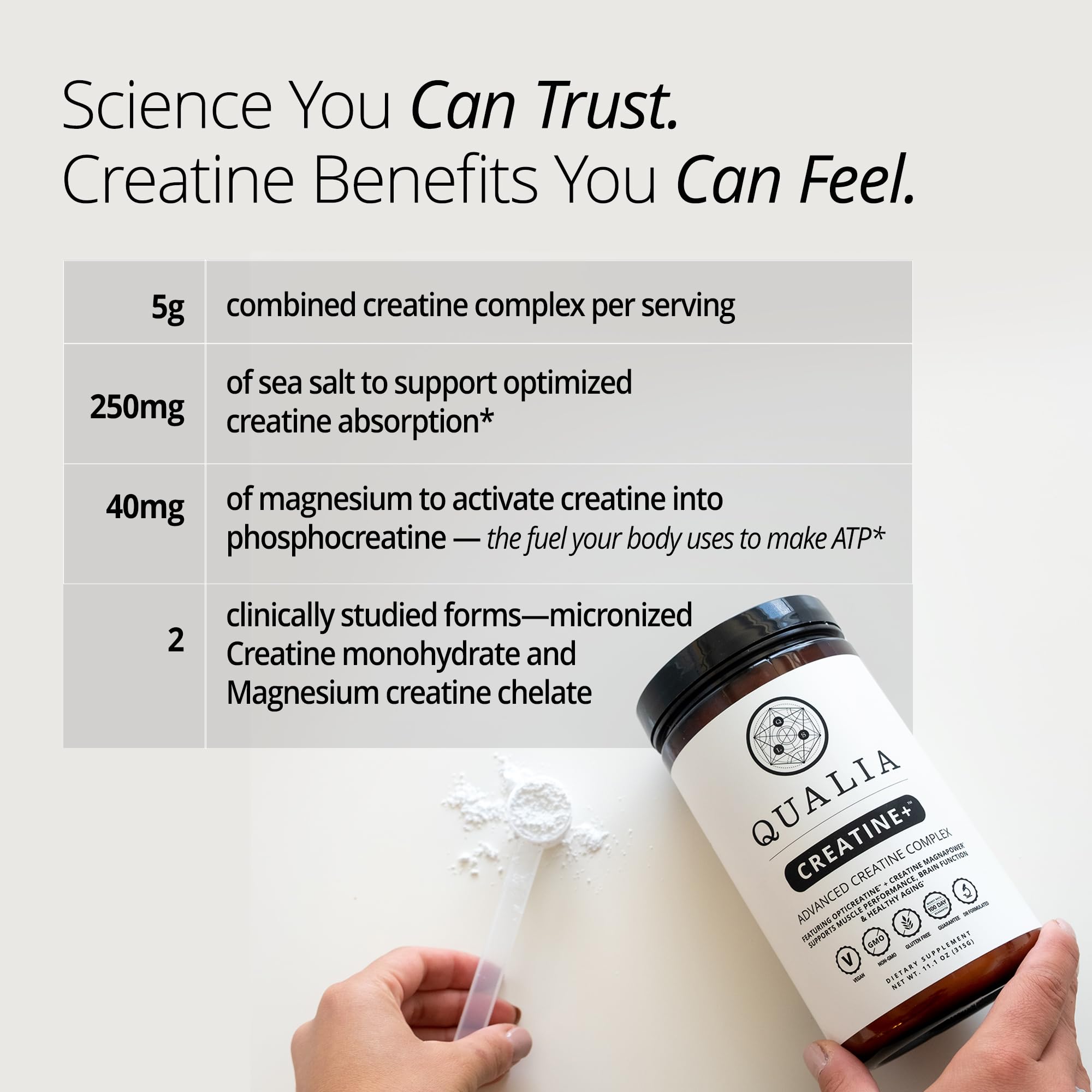 Qualia Creatine | Advanced Creatine Complex | 2 Sources + Magnesium | Optimized Absorption | Muscle Performance, Brain Function, & Healthy Aging QUALIA LIFE SCIENCESAu supplements